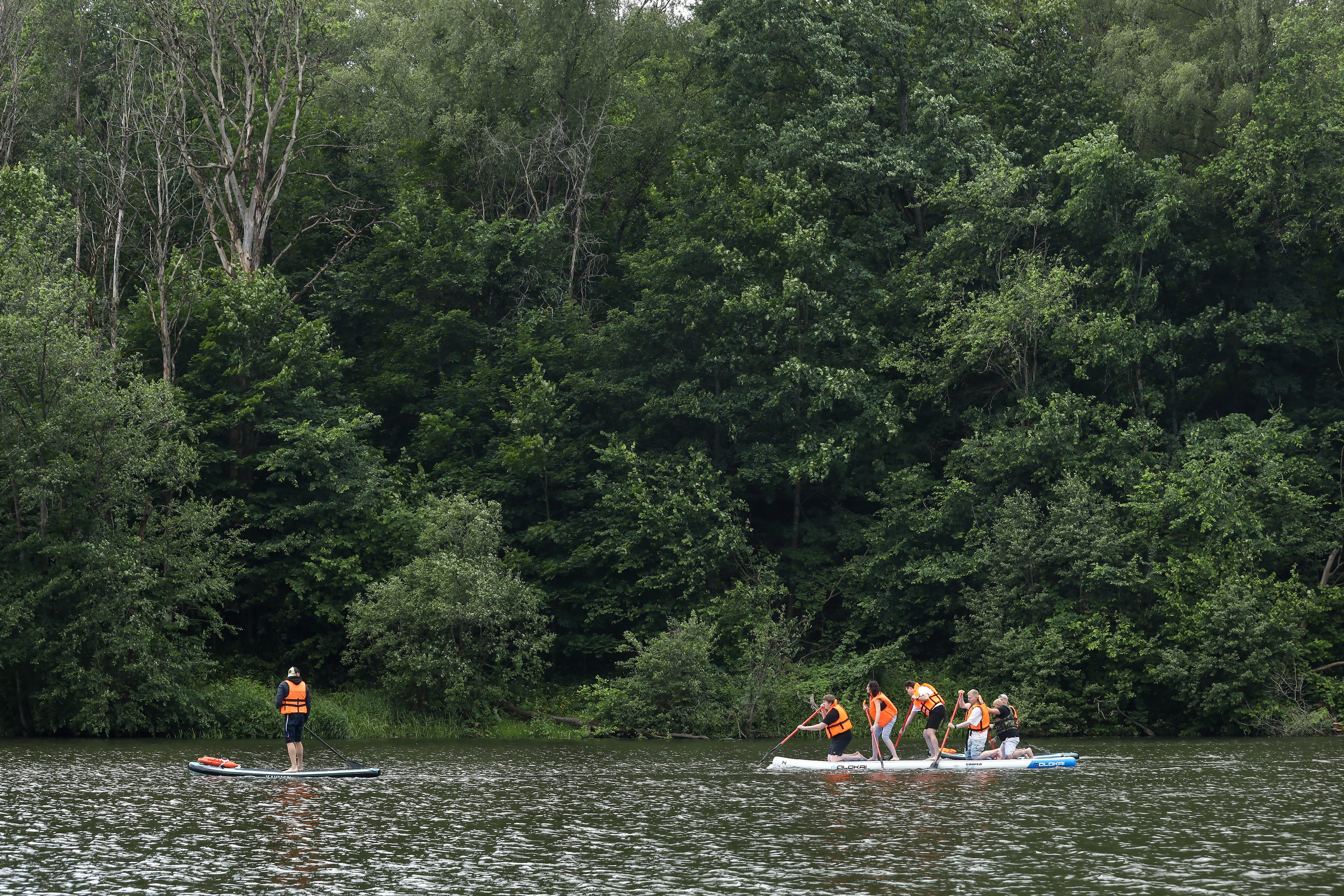Летний корпоратив Arlight. Фотограф Антон Чупринин