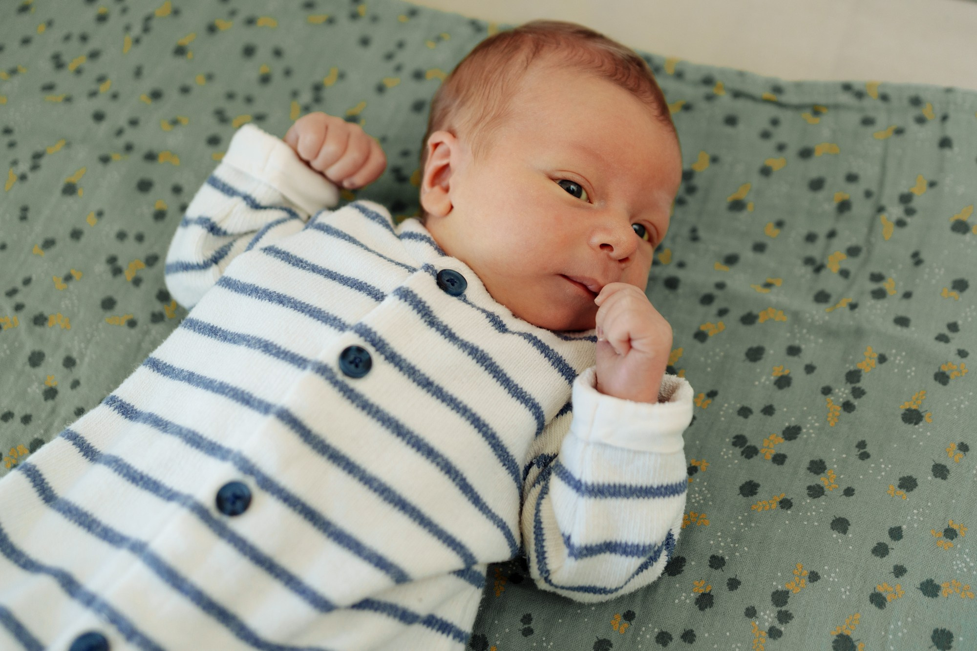 Newborn. Фотограф Виктория Юленкова