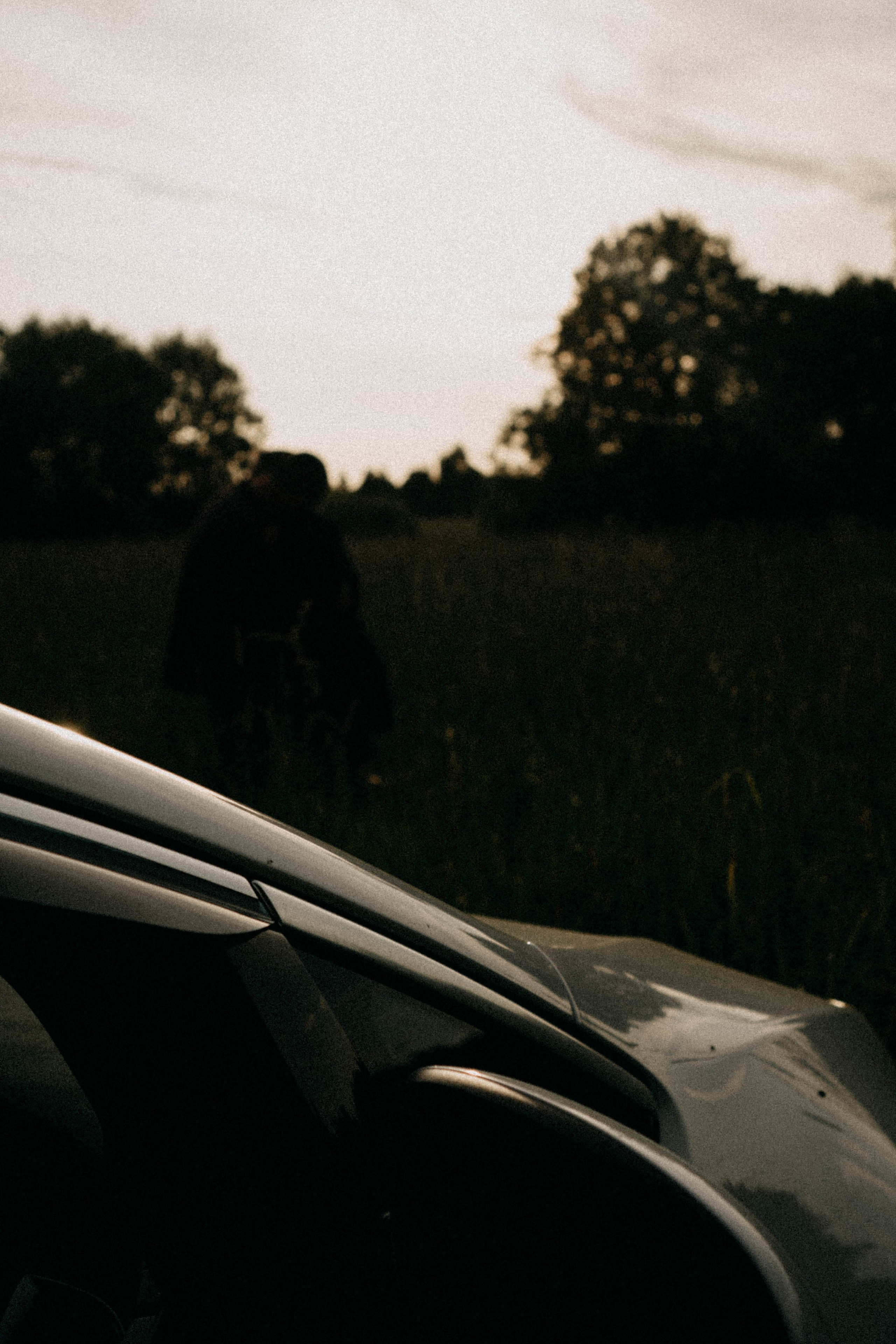 Летняя прогулка. Профессиональный фотограф, Санкт-Петербург — Виктория Богомолова