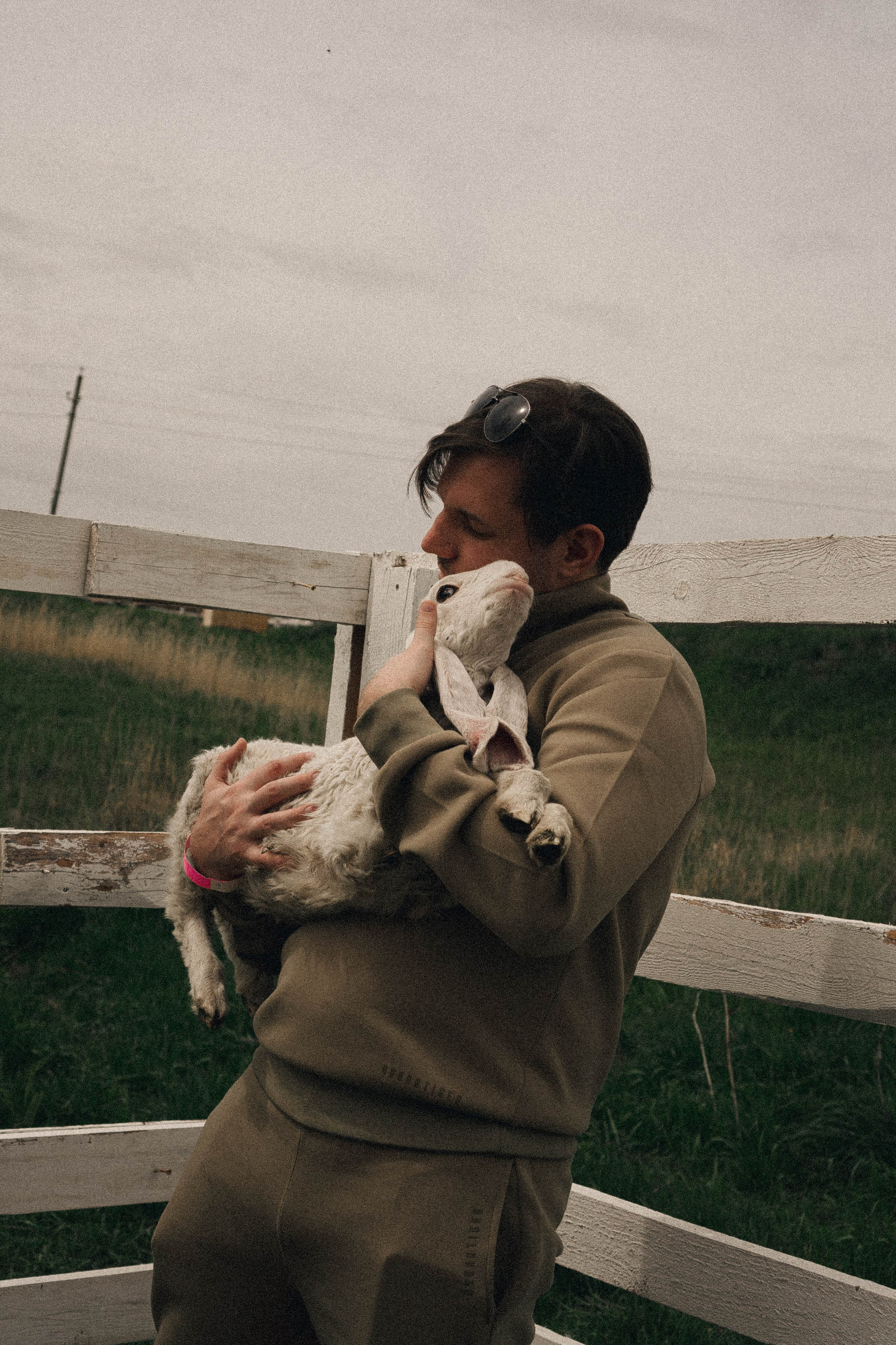 Ферма Альпак. Профессиональный фотограф, Санкт-Петербург — Виктория Богомолова