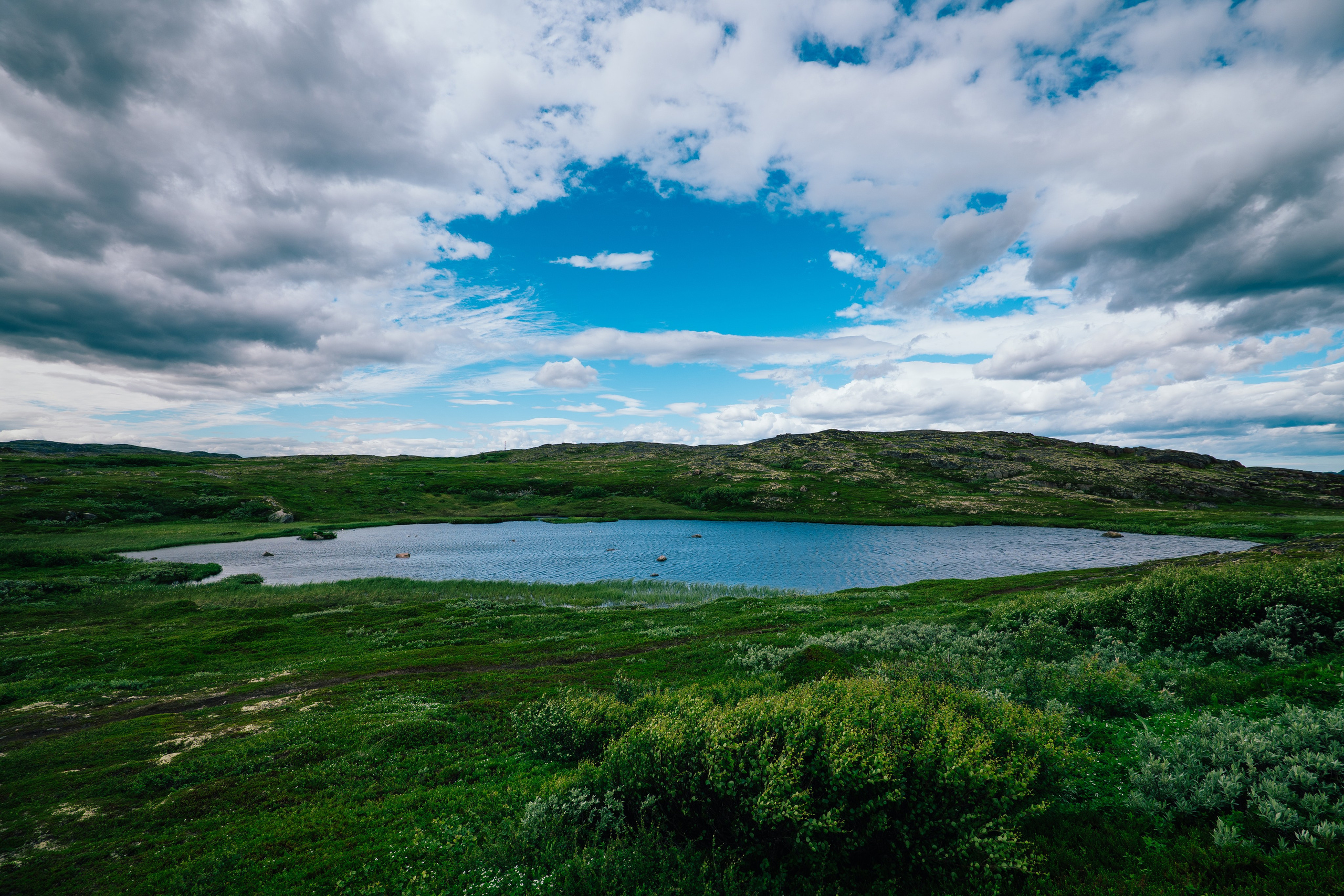 ТЕРИБЕРКА. Создание контента | Фото | Видеосъемка | Александр Ярков