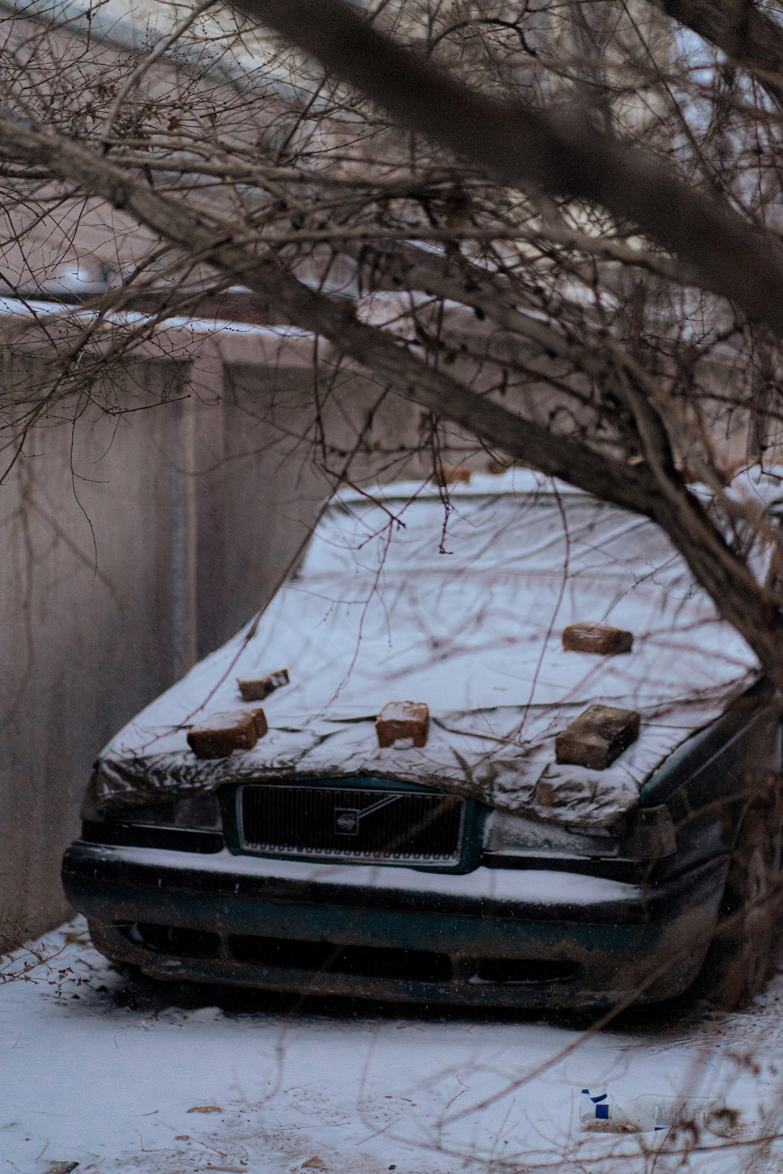 Красивые кадры и макро. Фотограф Ахмедов Эльдар Чита