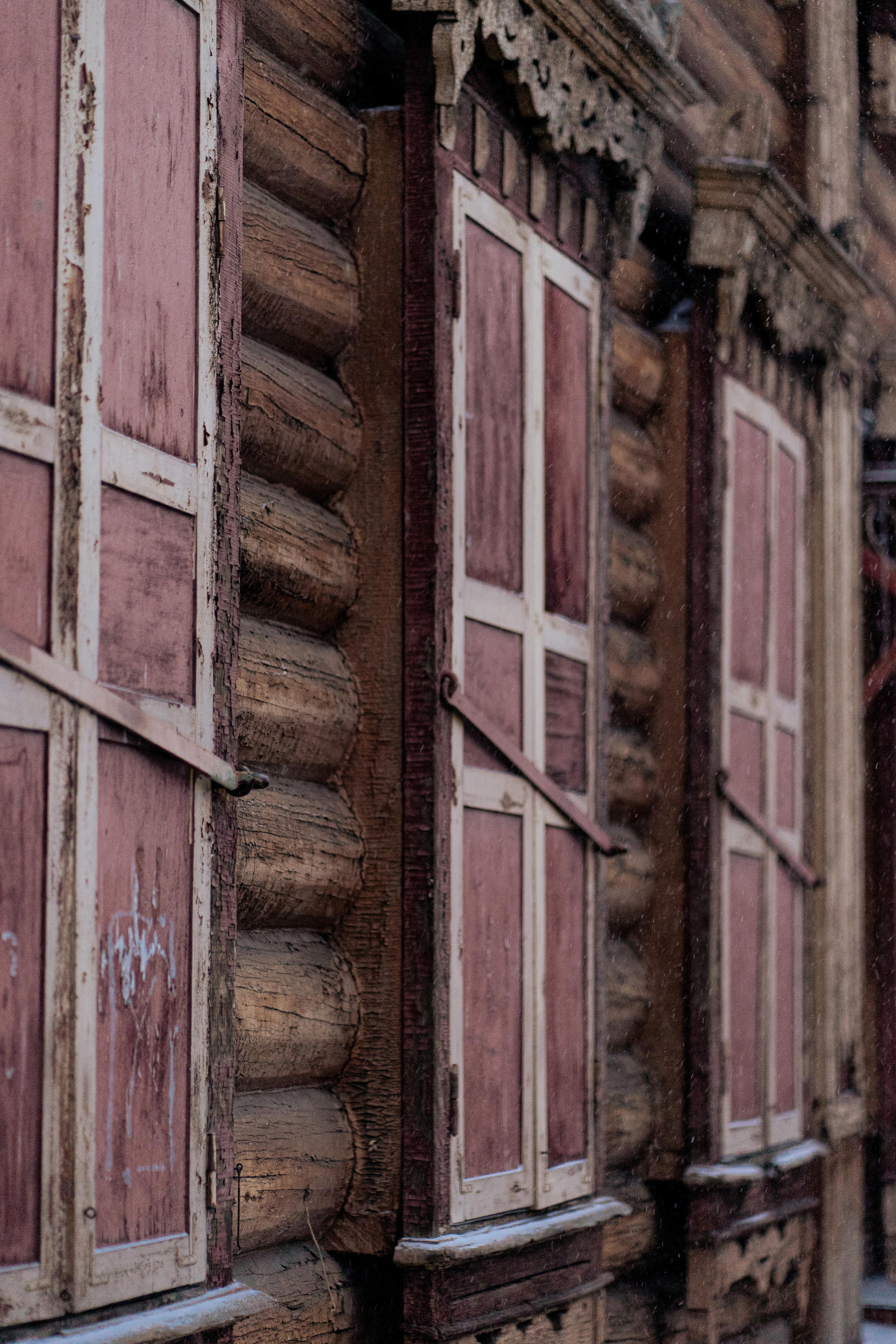 Красивые кадры и макро. Фотограф Ахмедов Эльдар Чита