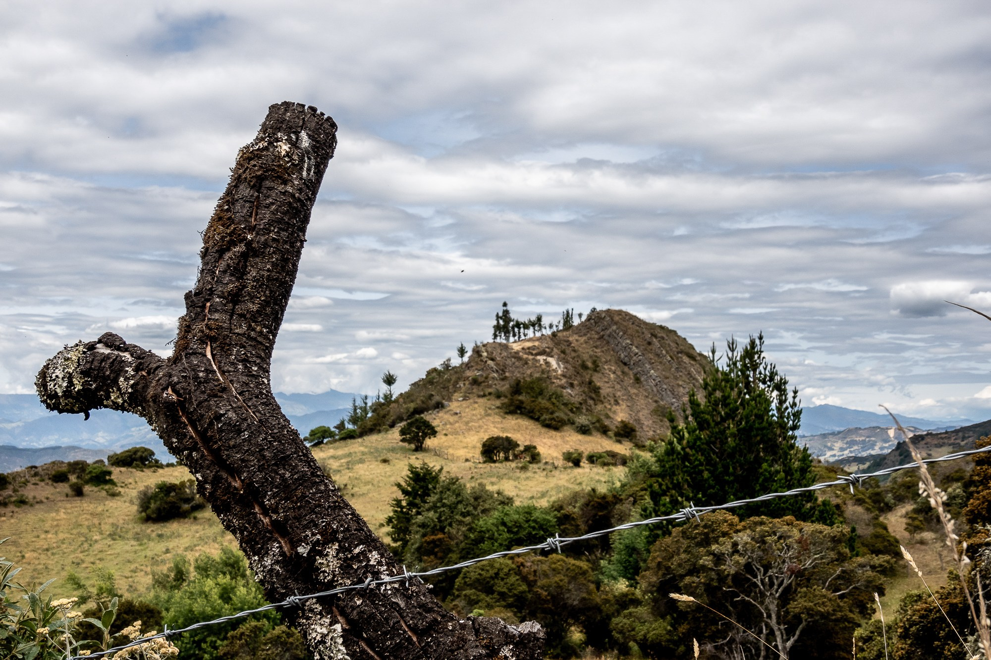 Монги (Mongui). Колумбия (Colombia). Фотограф Алексей Скоробогатько