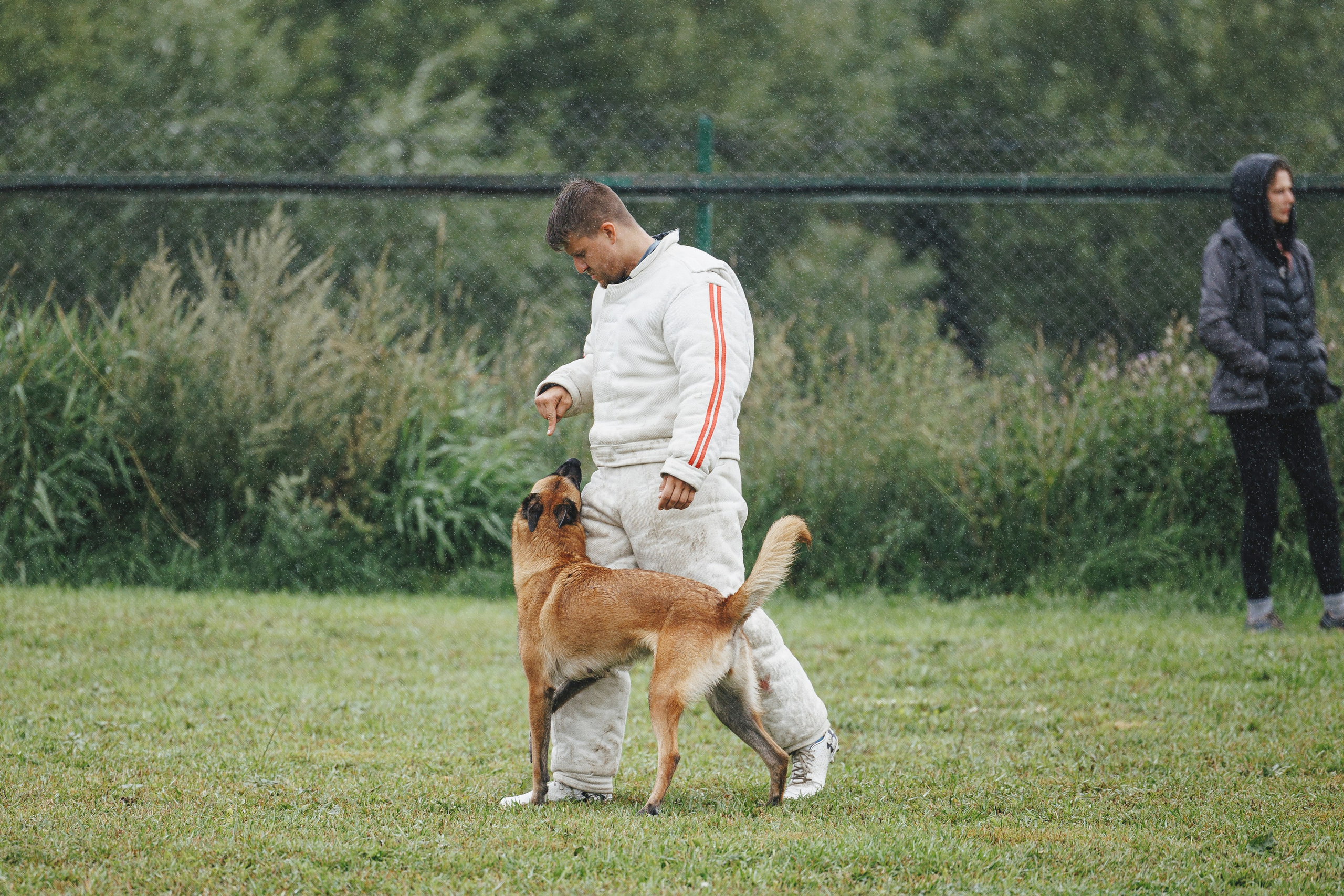 08.08.25-10.08.25 ЧР по мондьорингу г. Вологда. Фотограф-анималист Анна Маринич