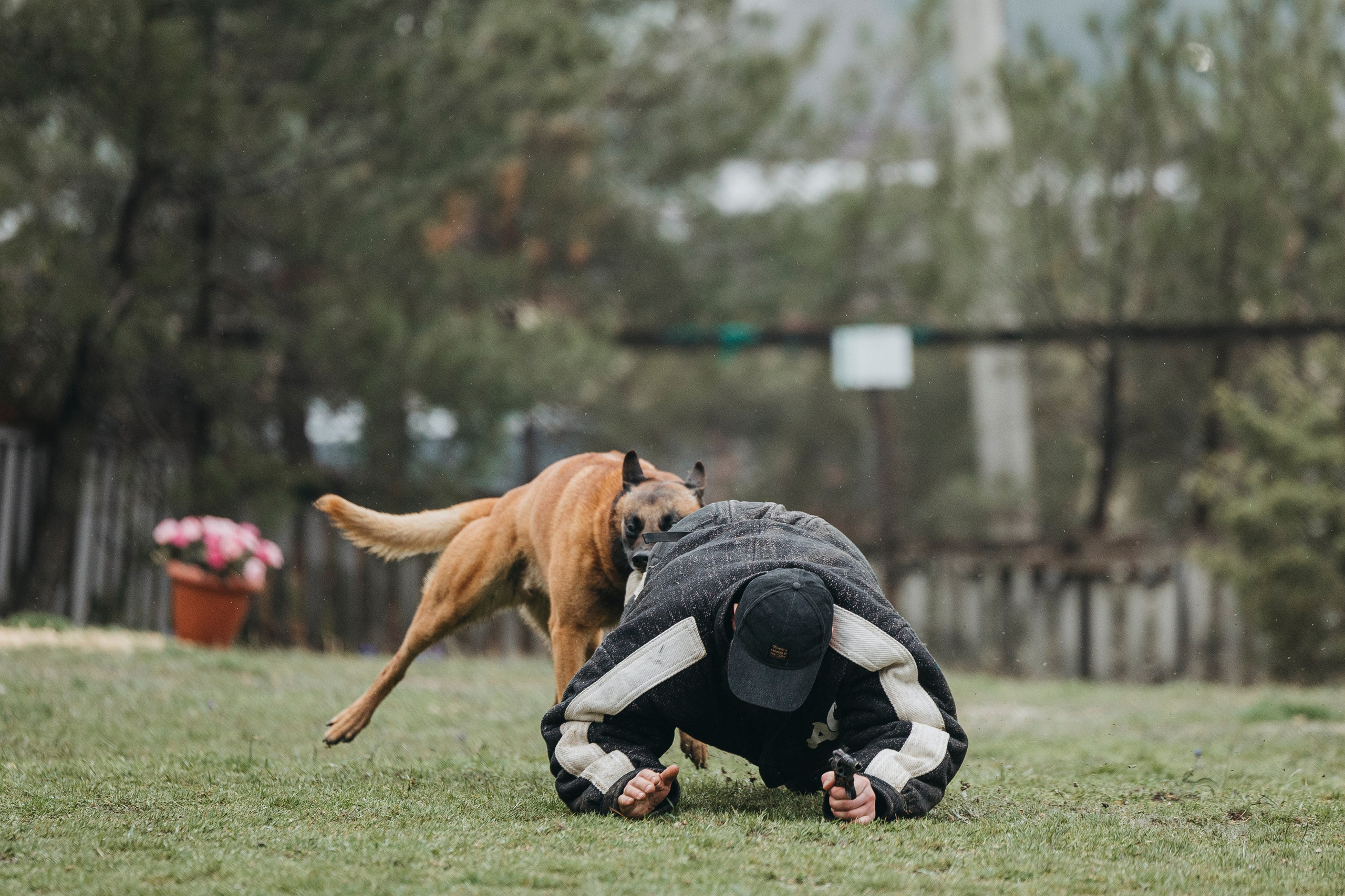 Геленджик Мондьоринг. Фотограф-анималист Анна Маринич