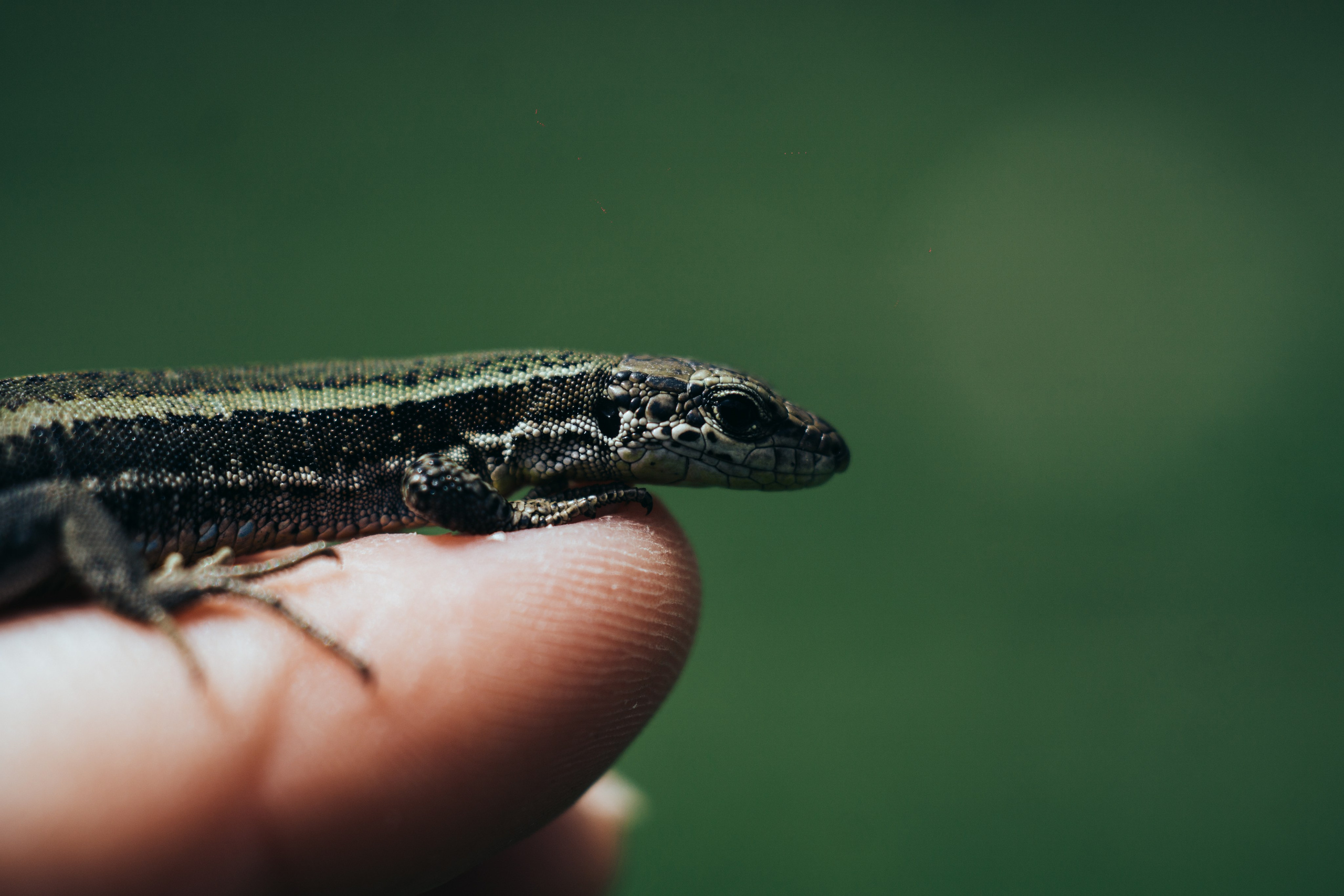 EXHIBITION. Репортажный и интерьерный фотограф, фотохудожник