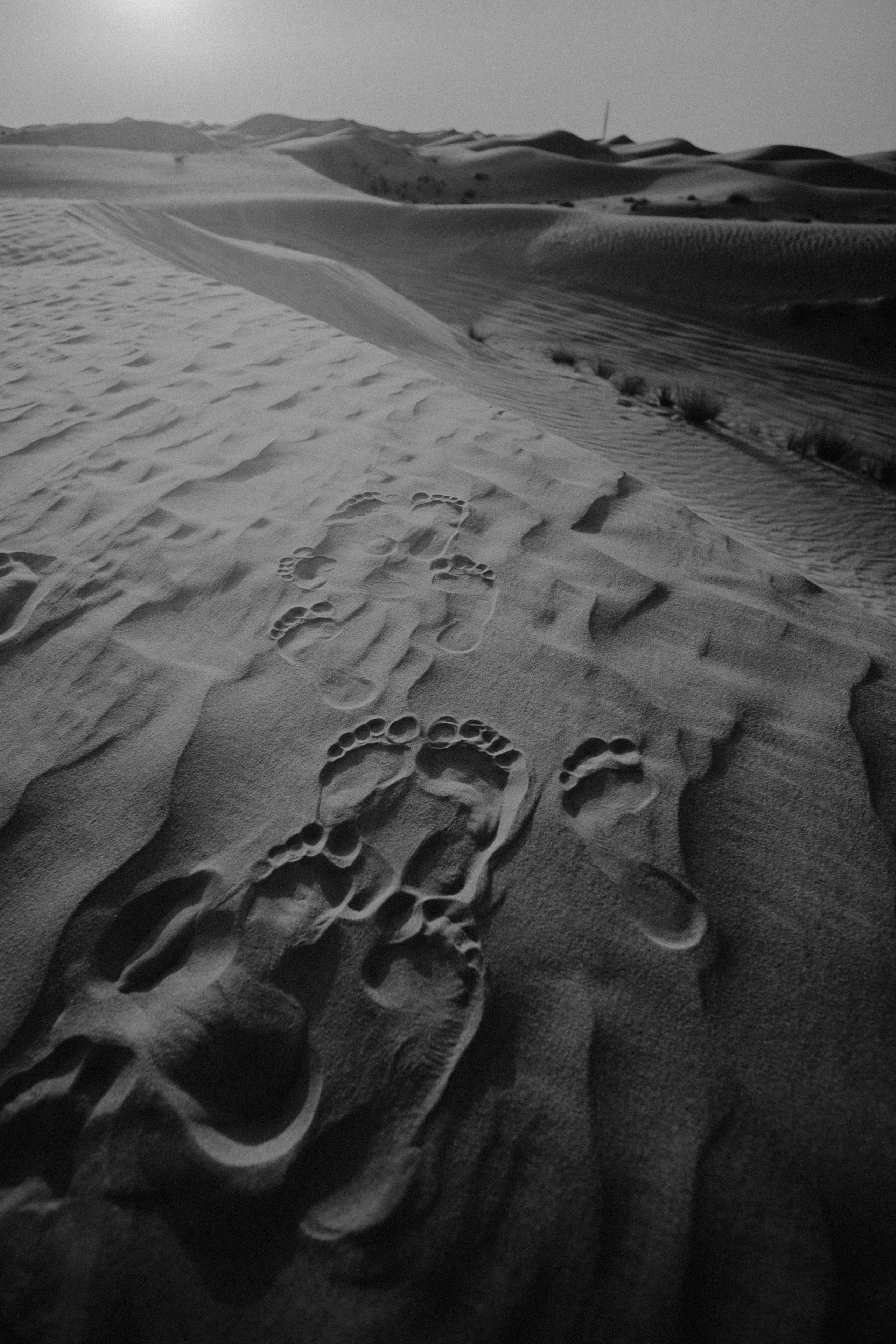 EXHIBITION. Репортажный и интерьерный фотограф, фотохудожник