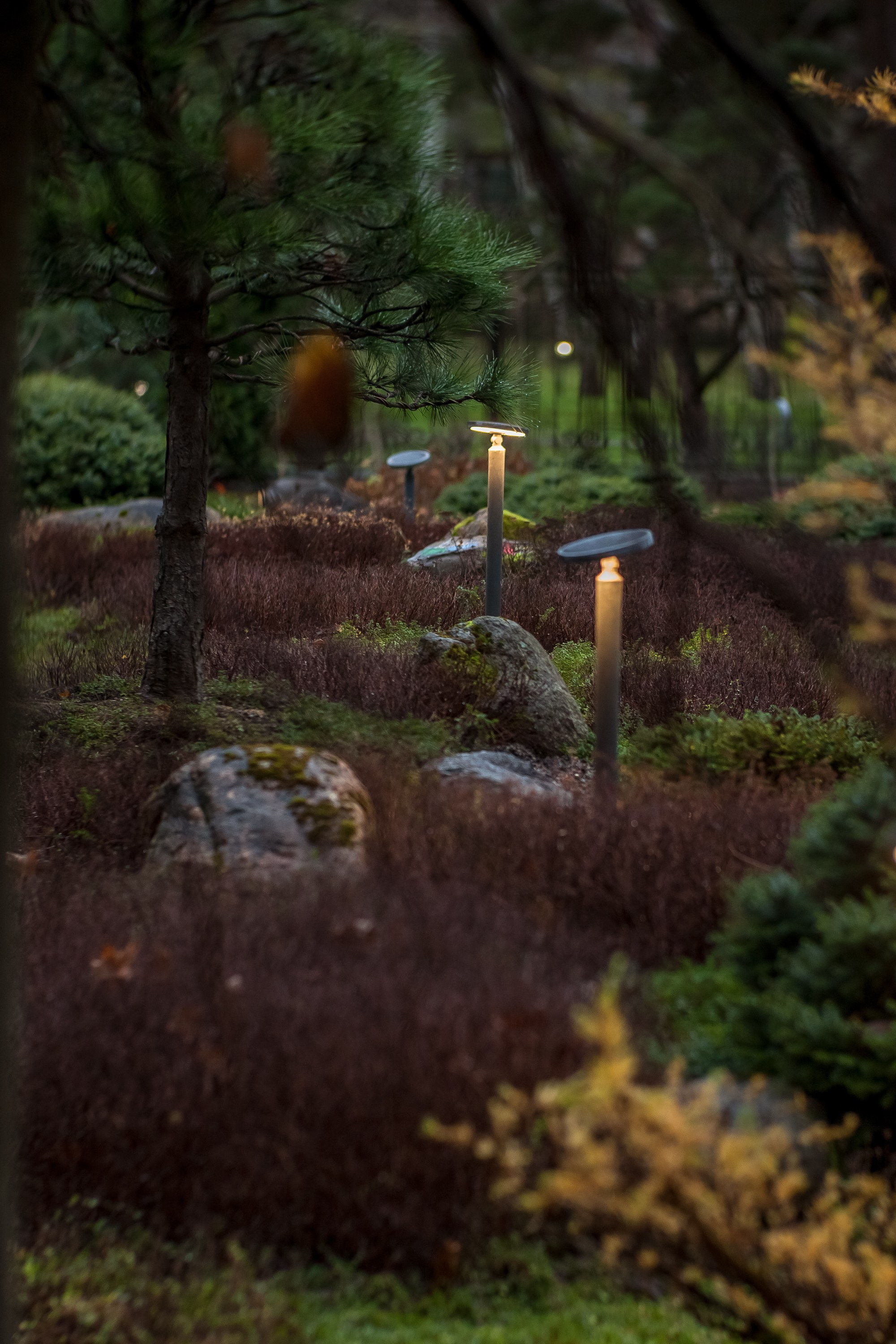 Сад «Сиреневый туман» (автор сада: Елена Асташкина). Туманов Виталий — фотограф Москва
