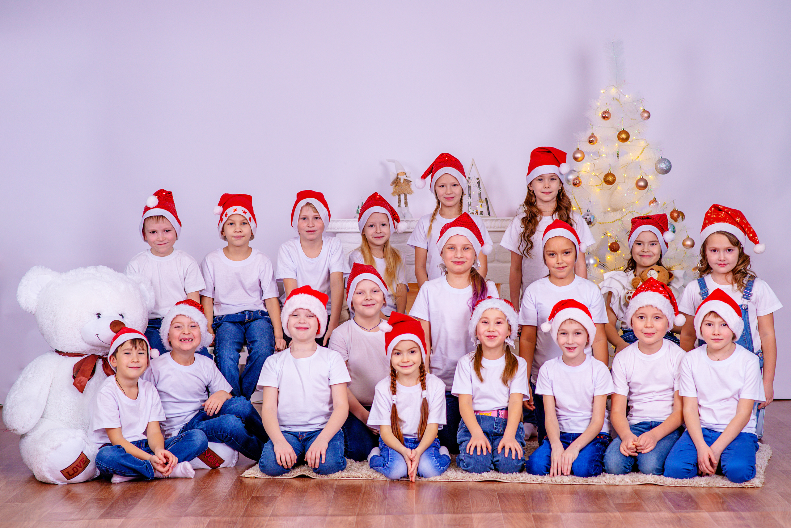 Новогодние. Фотограф Николай Селуков