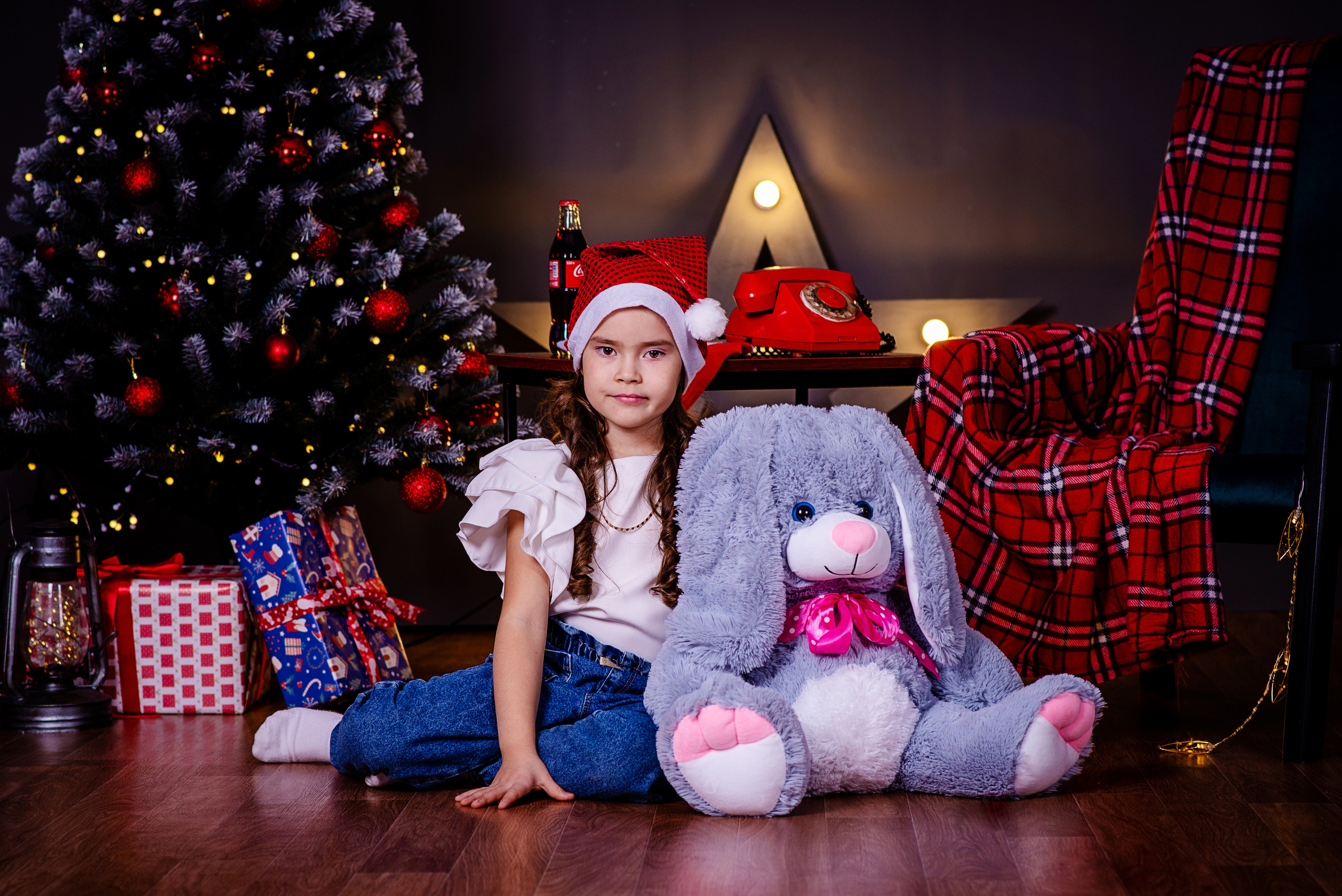 Новогодние. Фотограф Николай Селуков