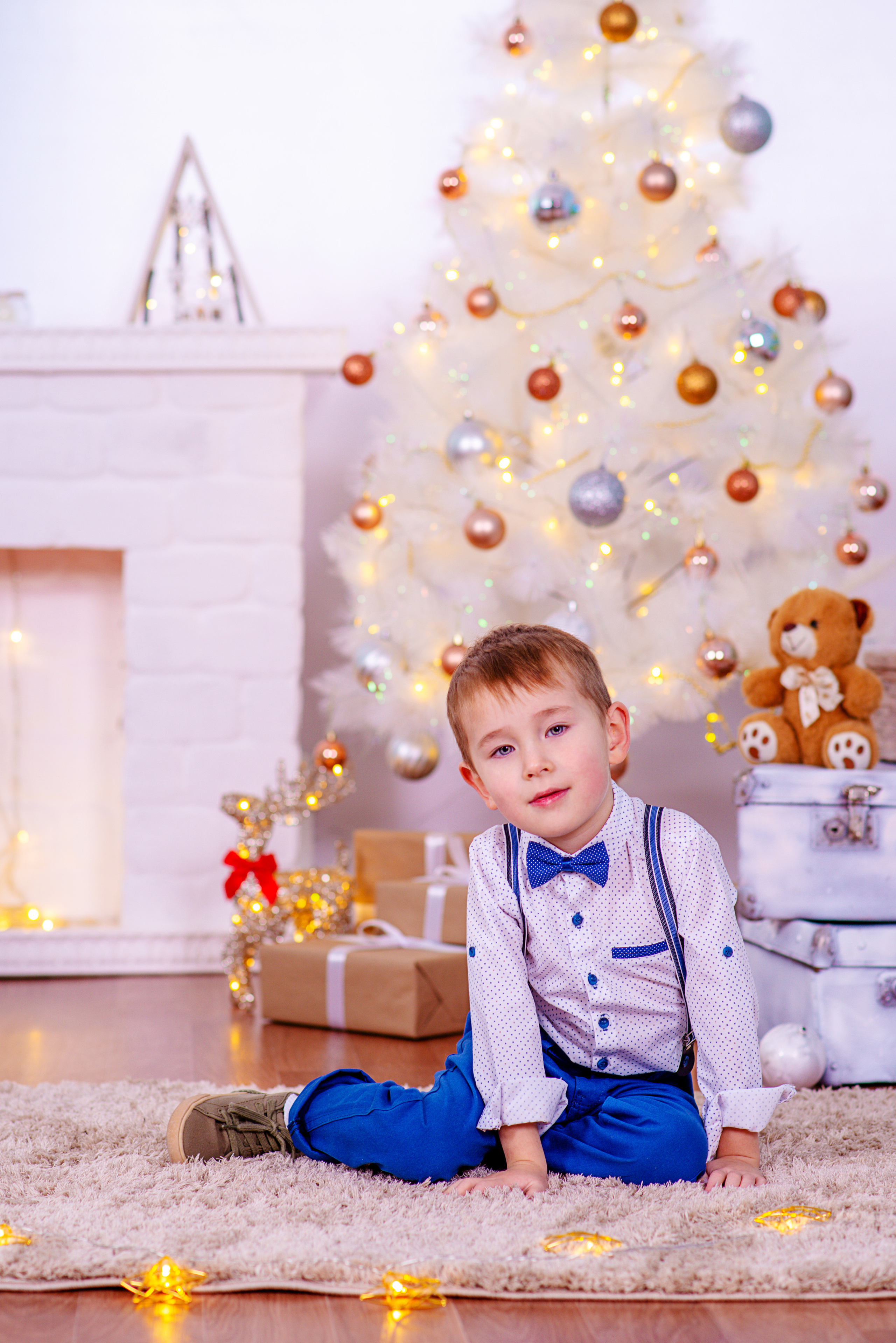 Новогодние. Фотограф Николай Селуков