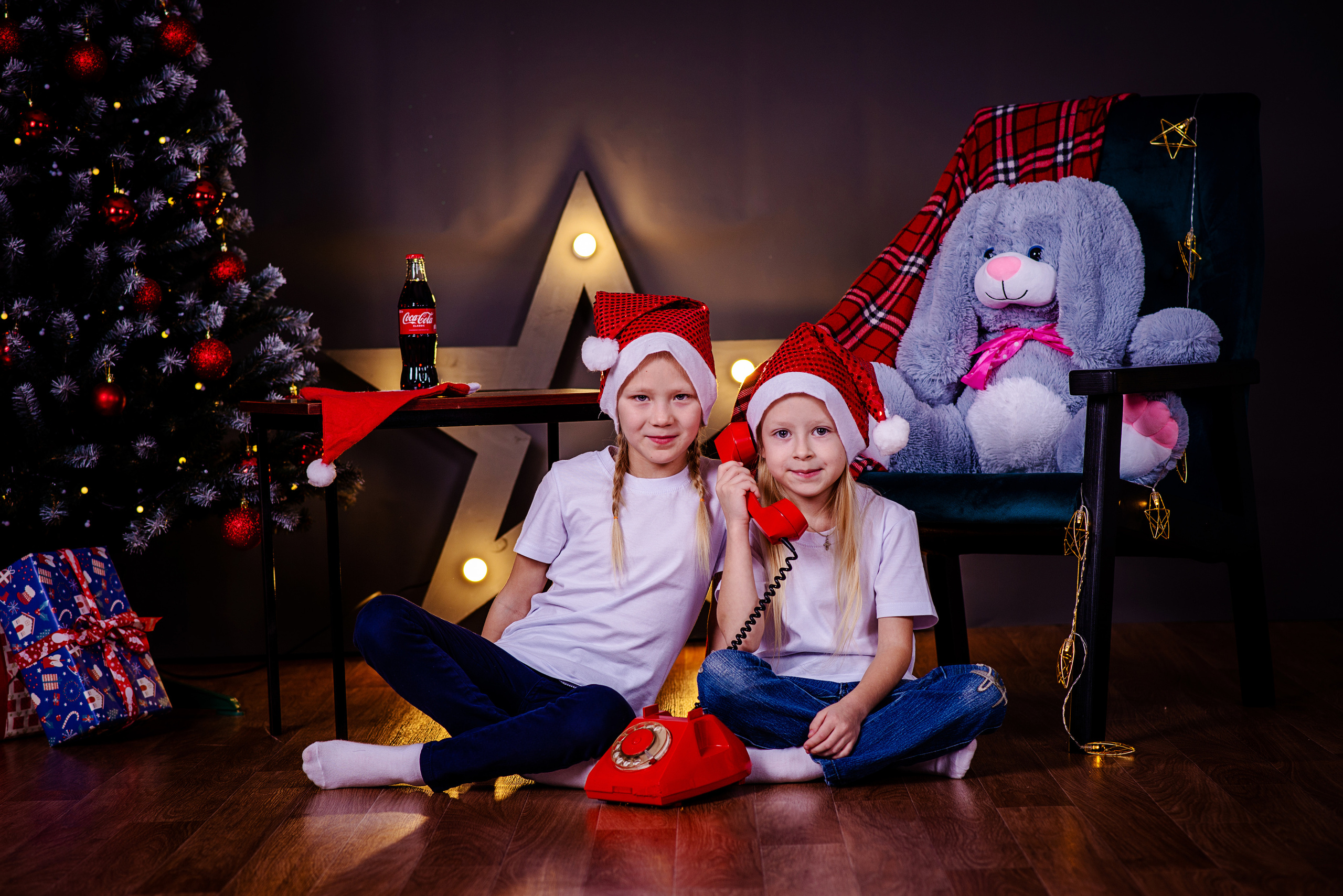 Новогодние. Фотограф Николай Селуков