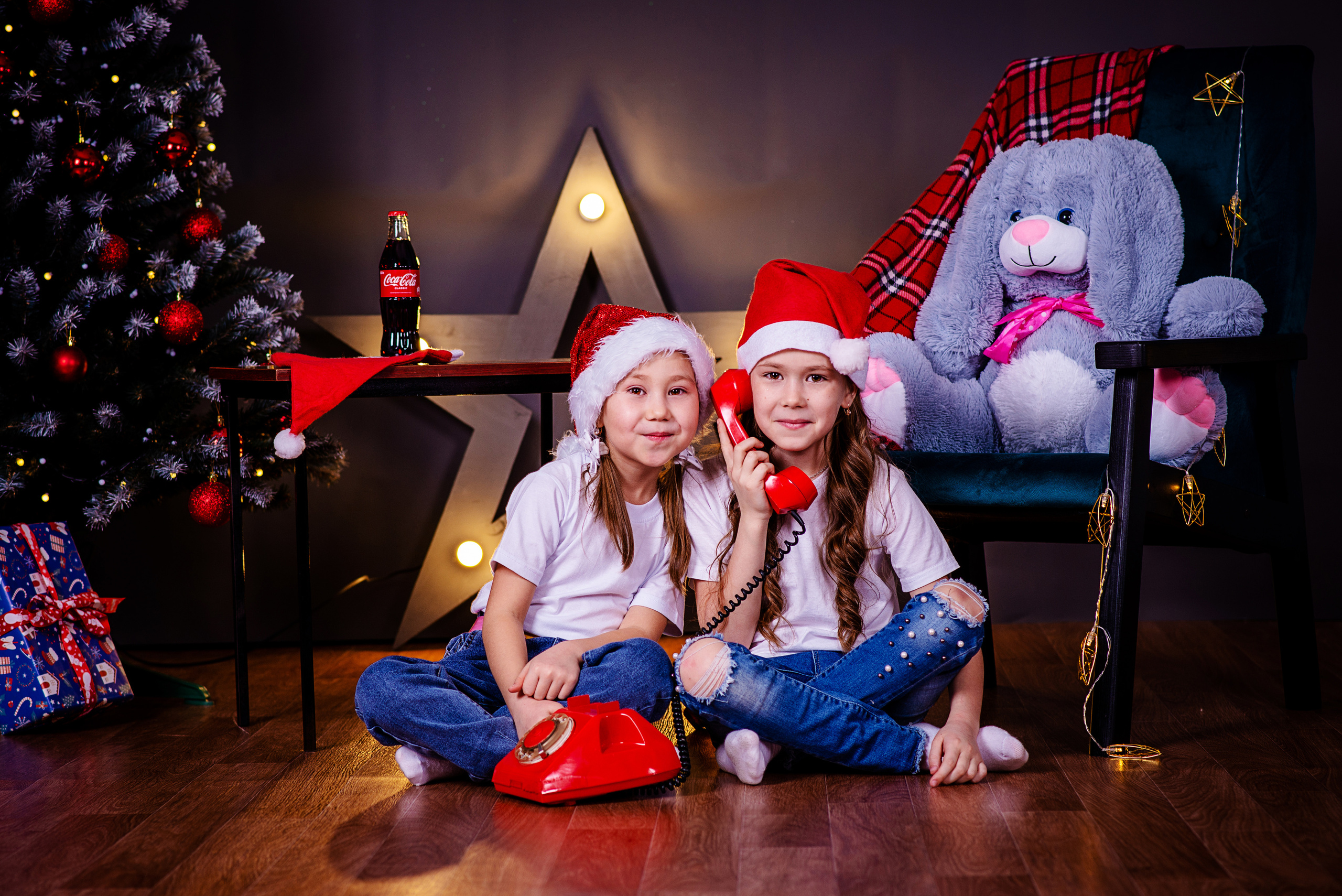 Новогодние. Фотограф Николай Селуков