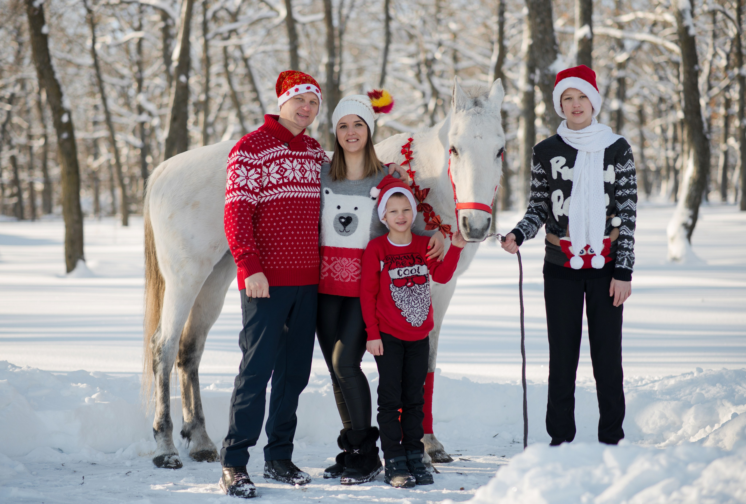 Семейная съемочка с Гипнозом. Конный фотограф в Саратове Юлия Иванова