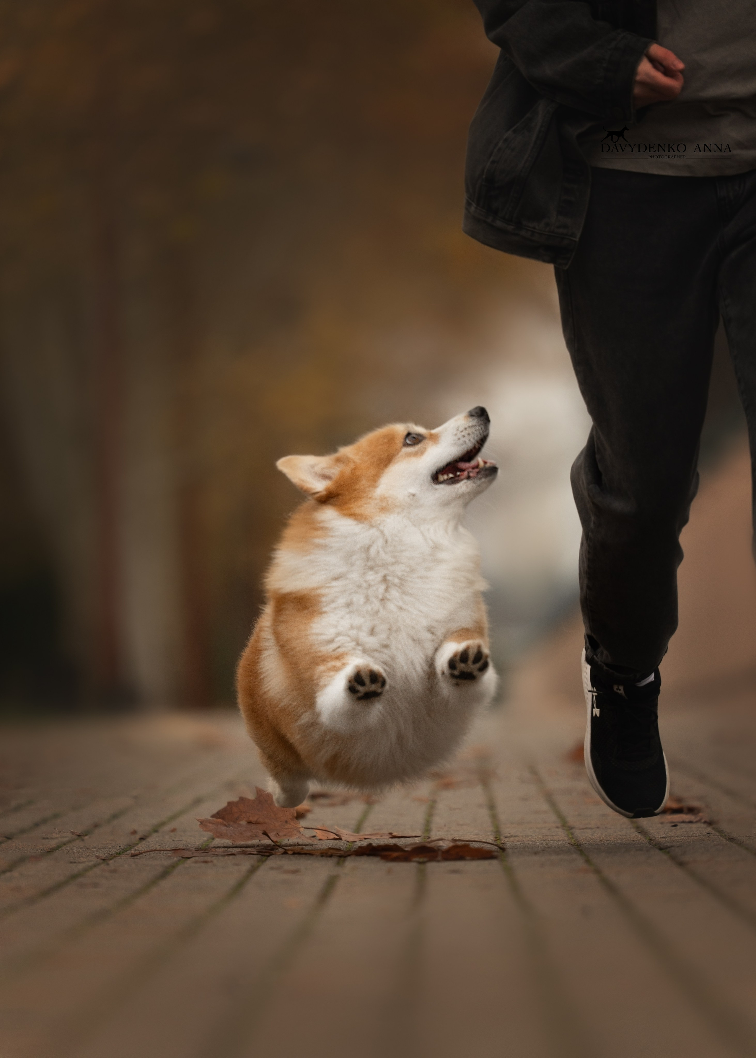 фотограф сочи