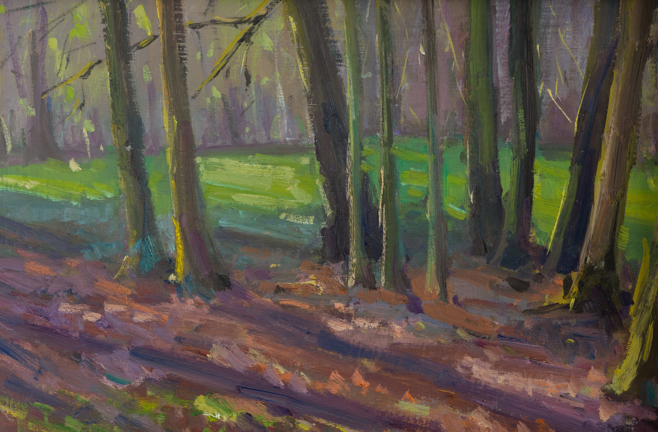 "Вечерние лучи солнца" картон, масло 20х30см, 2025