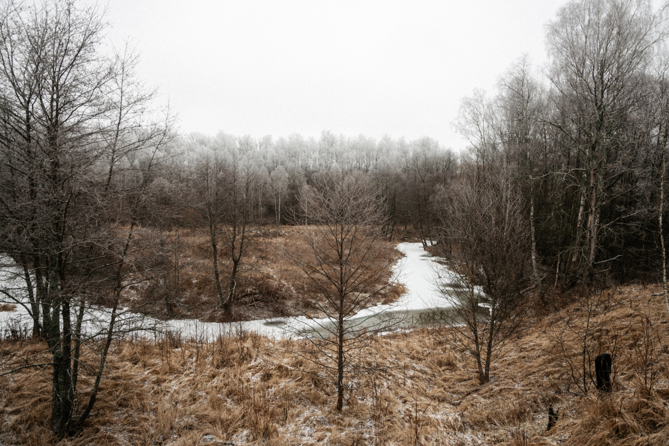 Прогулка по оврагу близ реки. Vlad Trykov