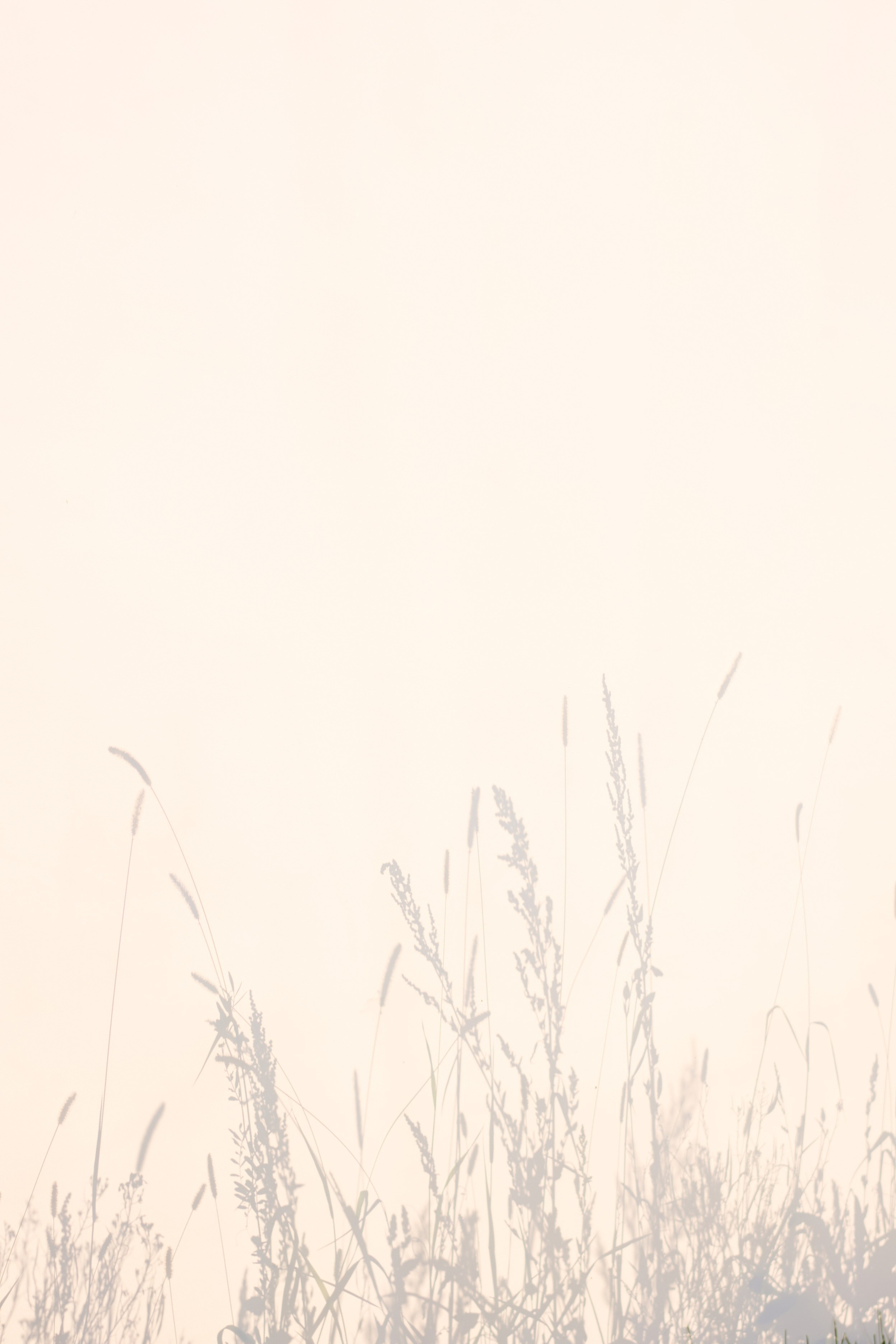 Артем и Эля. Свадебный и портретный фотограф в Воронеже Алёна Коренцова