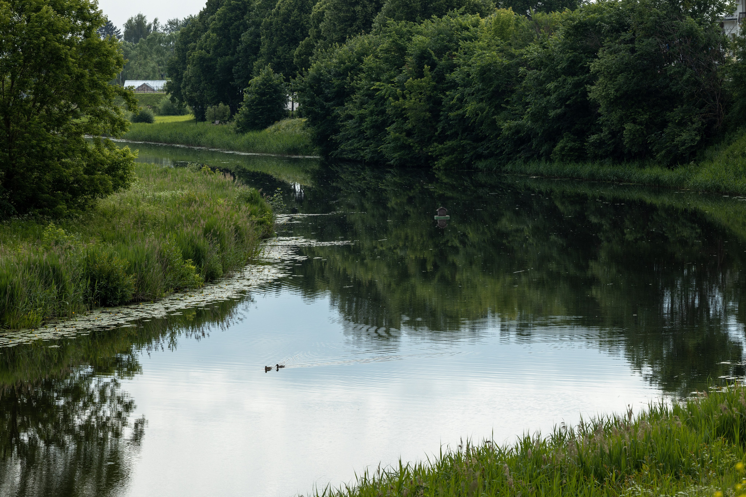 Природные пейзажи. Наталия Клевинскас портретный фотограф в Костроме