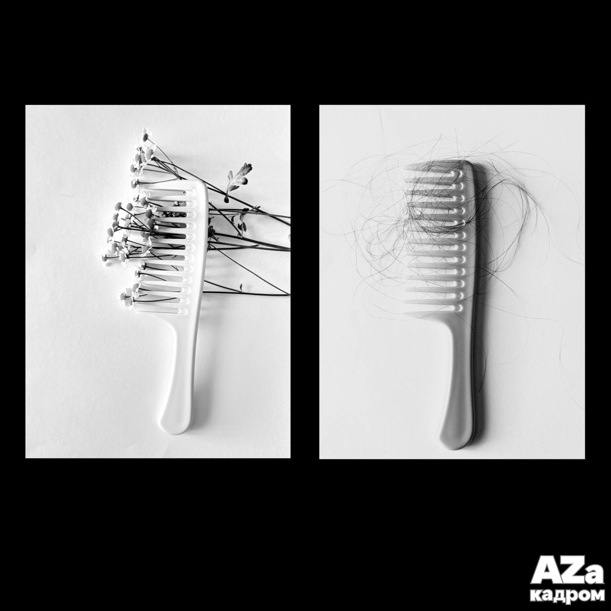Лучшие кадры участников фотоклуба AZакадром по заданию «Стоп-слово»