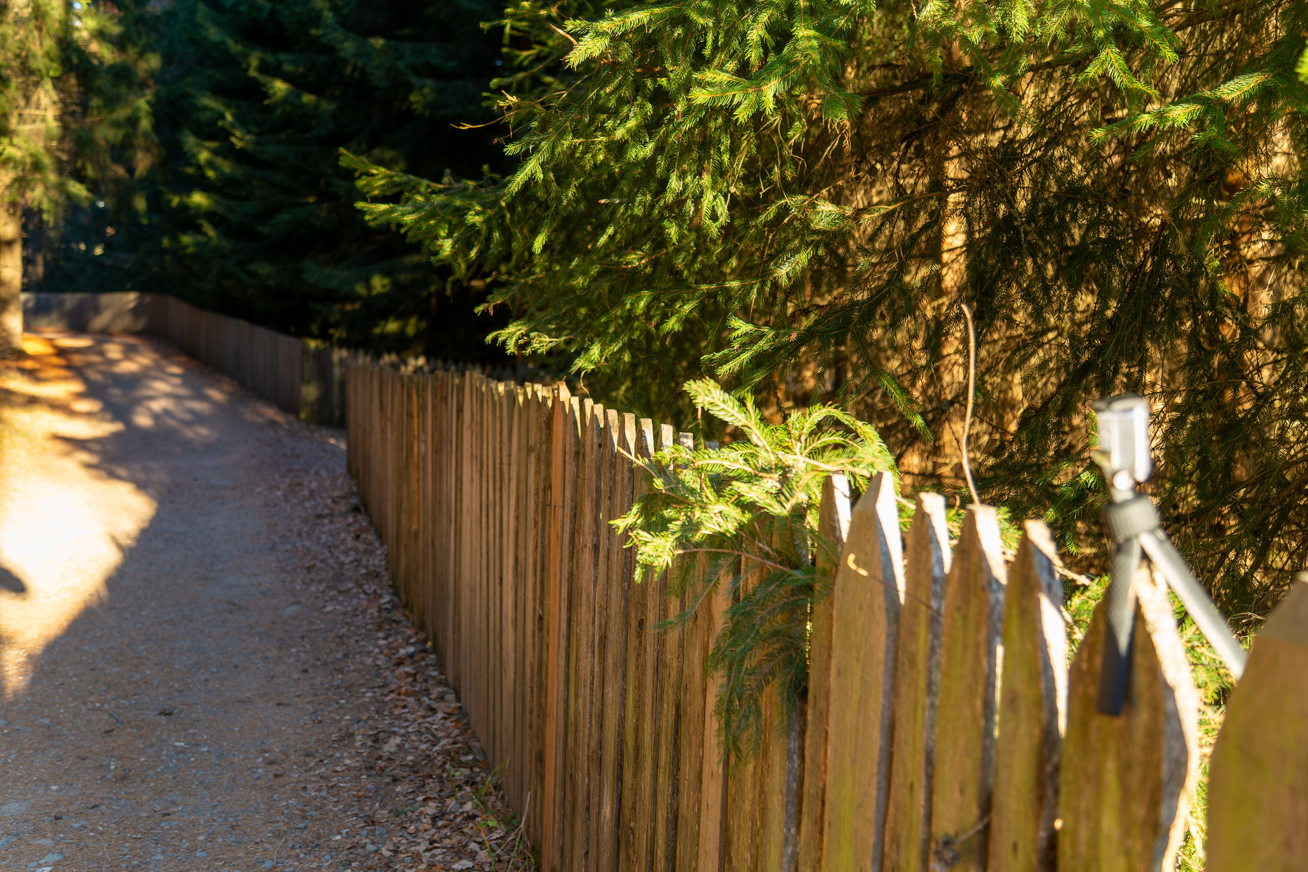 Фотосъёмка Альпы Италия, пейзажи и архитектура. «Студия DRONAVT`s» — видеосъёмка и фотография г. Москва