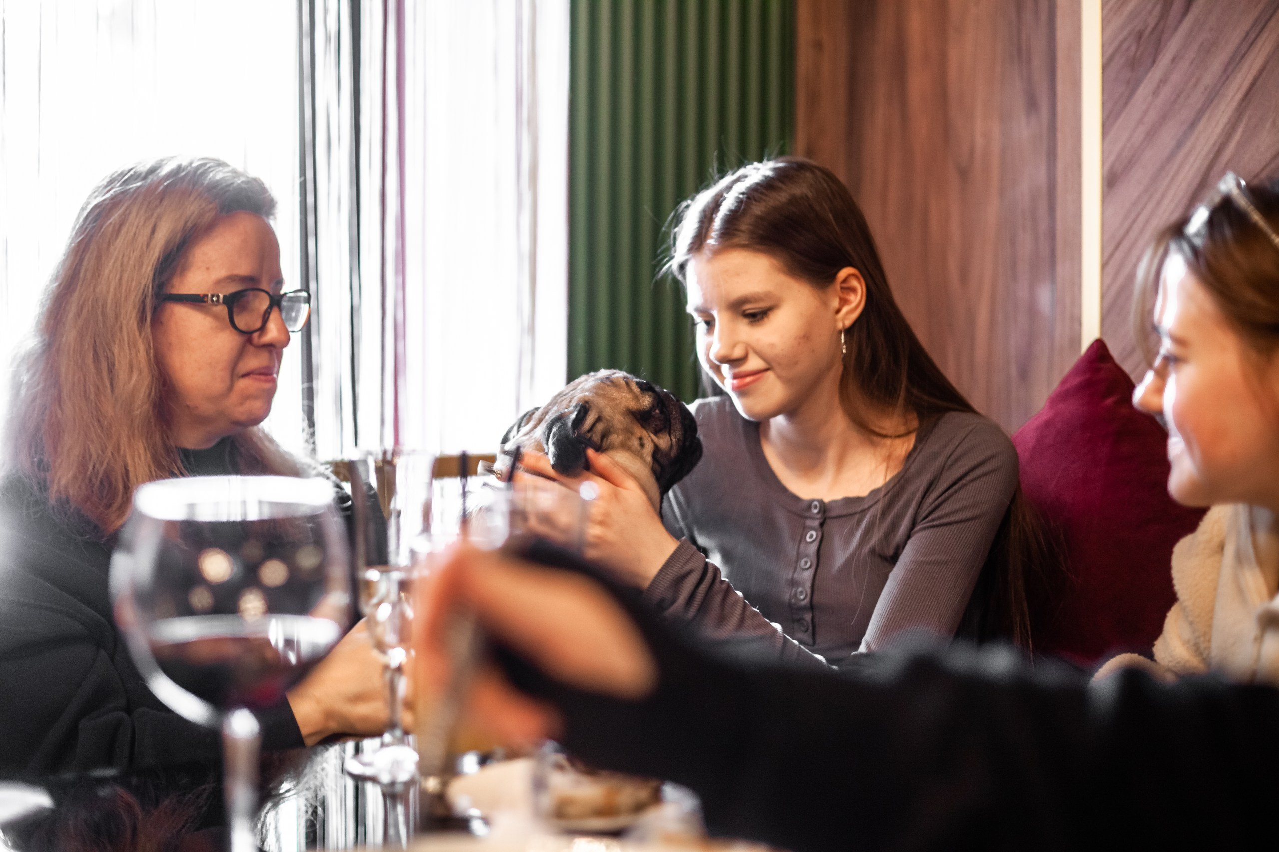 Мопсовстреча 02.12.2023. Фотограф-анималист Татьяна Степанова