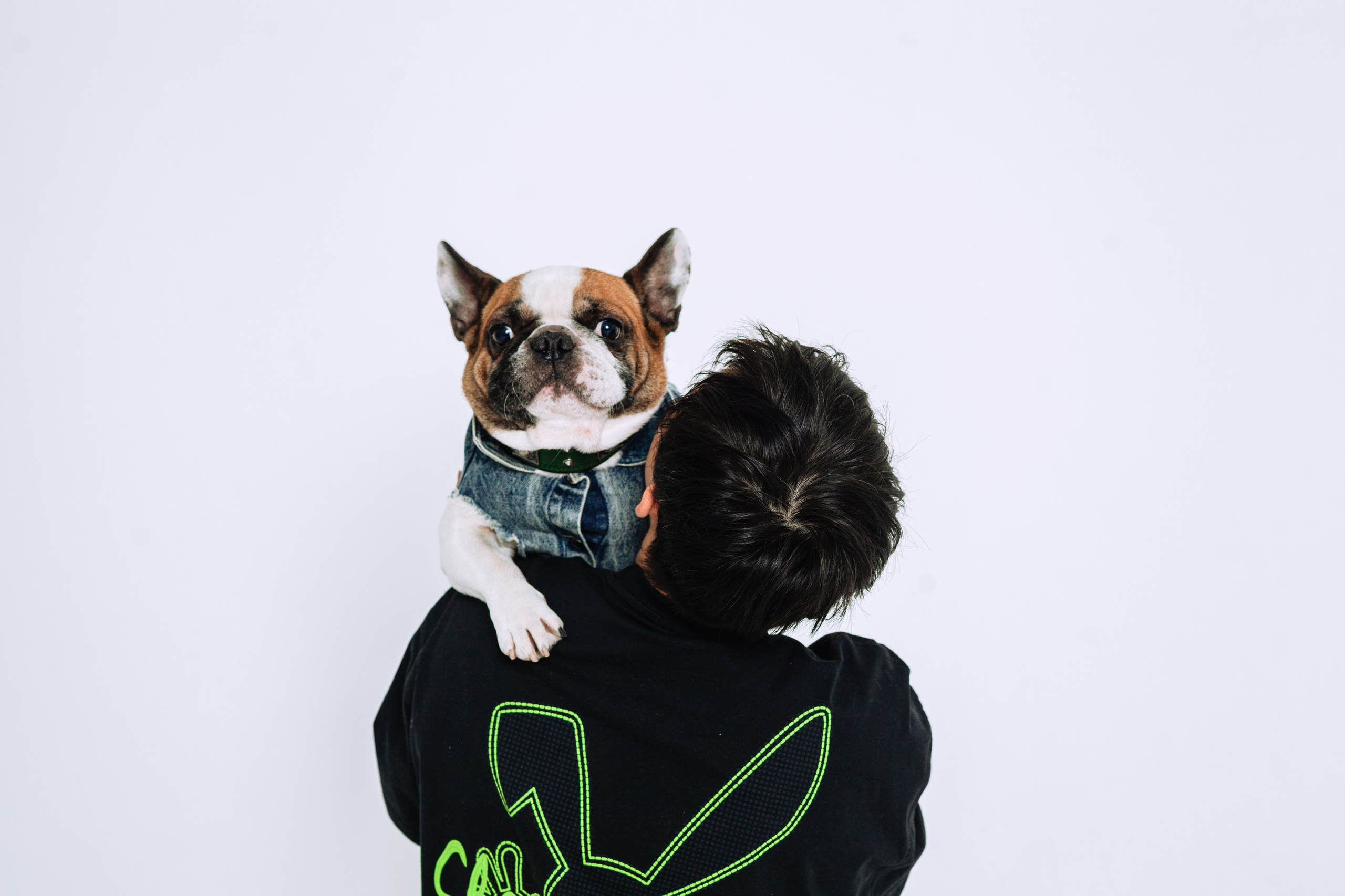 Бульвстреча 2025. Фотограф-анималист Татьяна Степанова