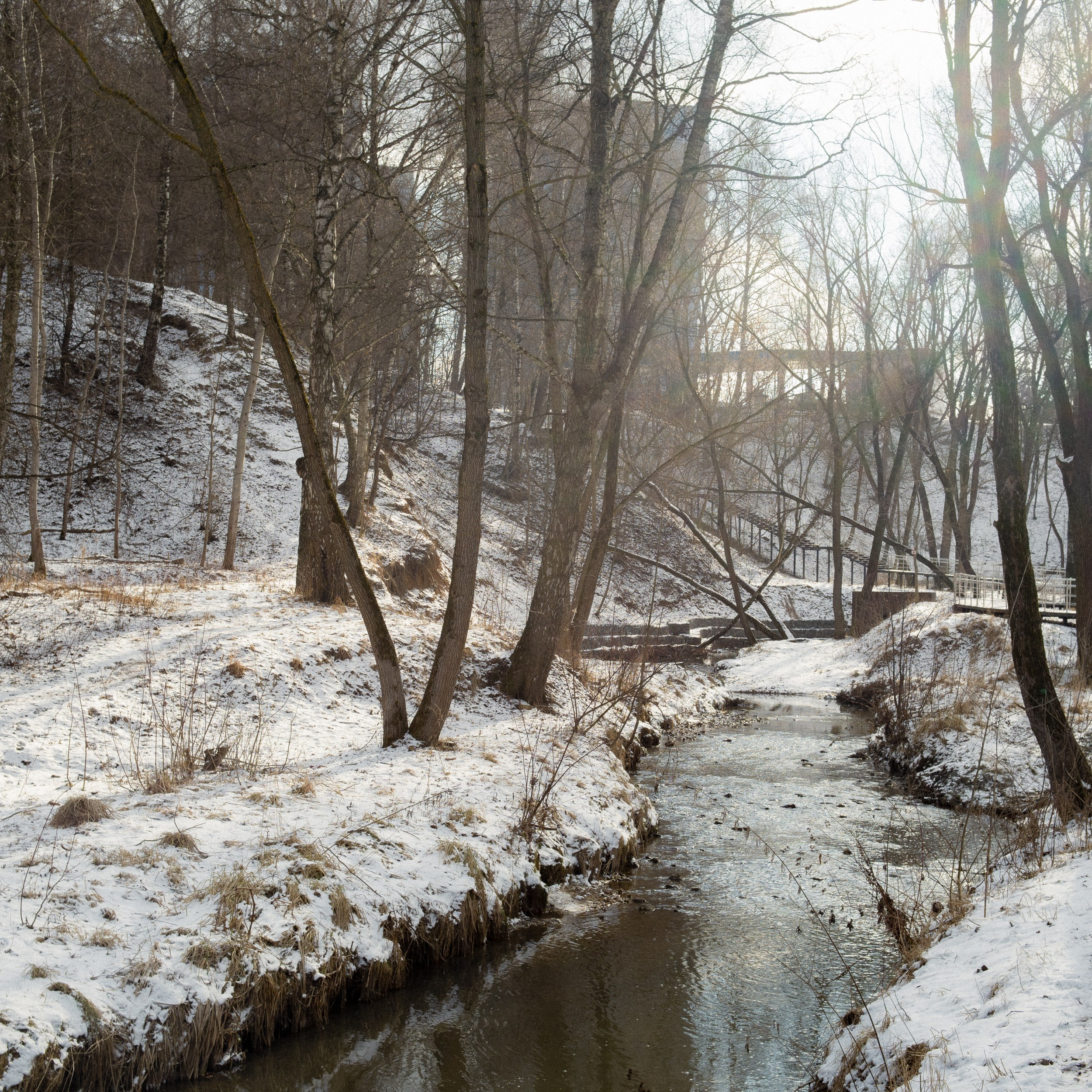 Оттепель. Photographer Pavel Romashchenko