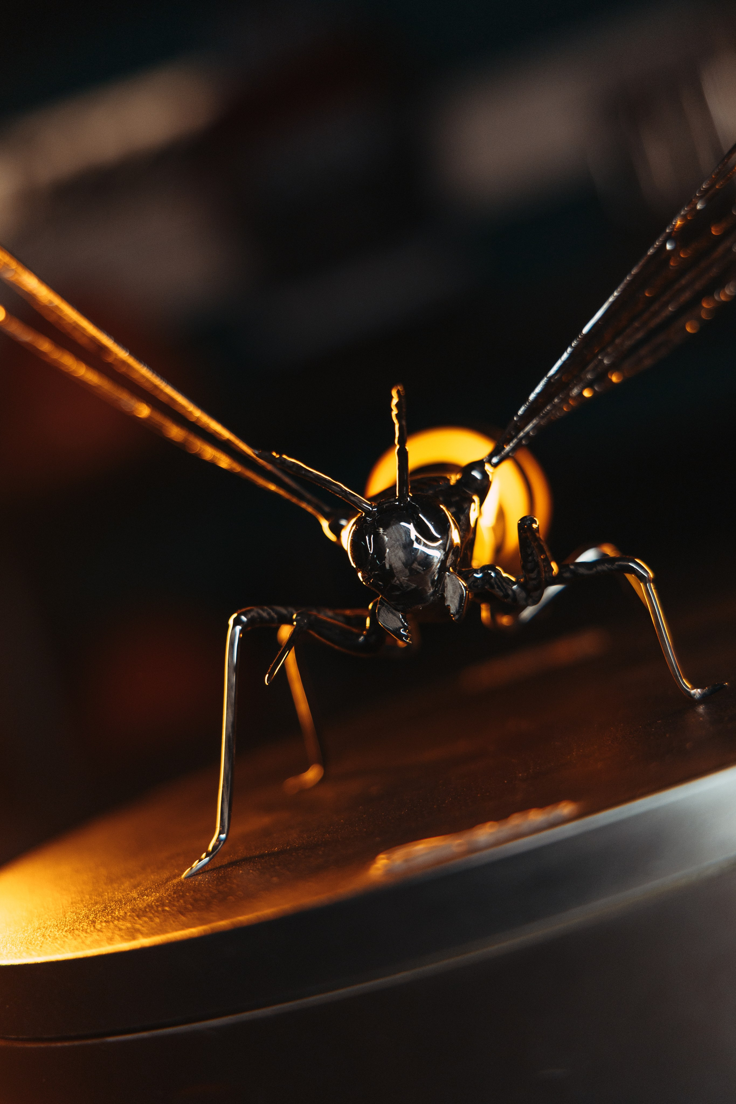 Оса из разных видов карбона, полностью ручная работа. DeLorein