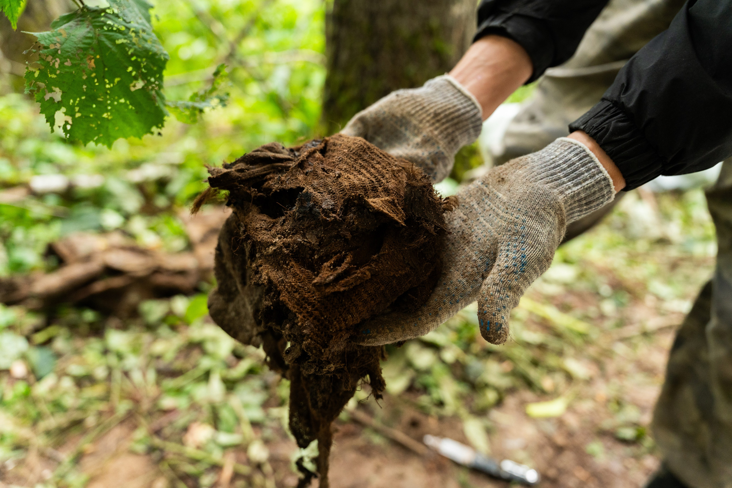 Роспатриот. Photographer | Moscow | Daria Novikova