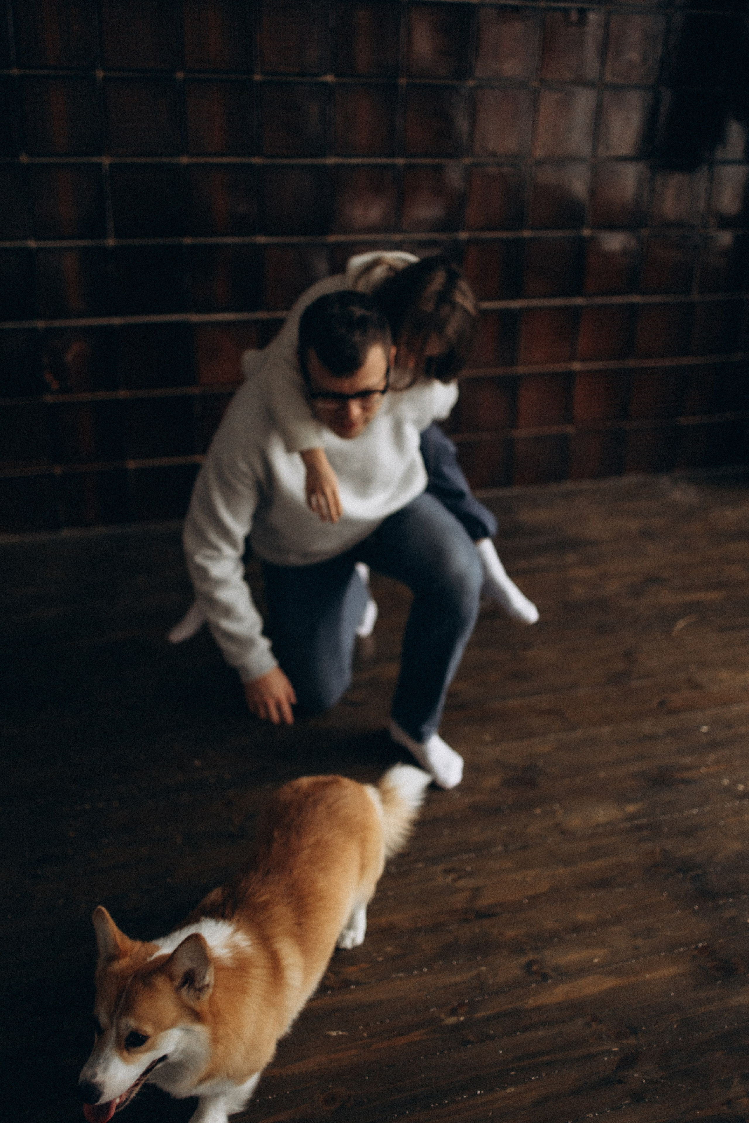 Зевс и его семья. Фотораф — анималист Мария Шистка