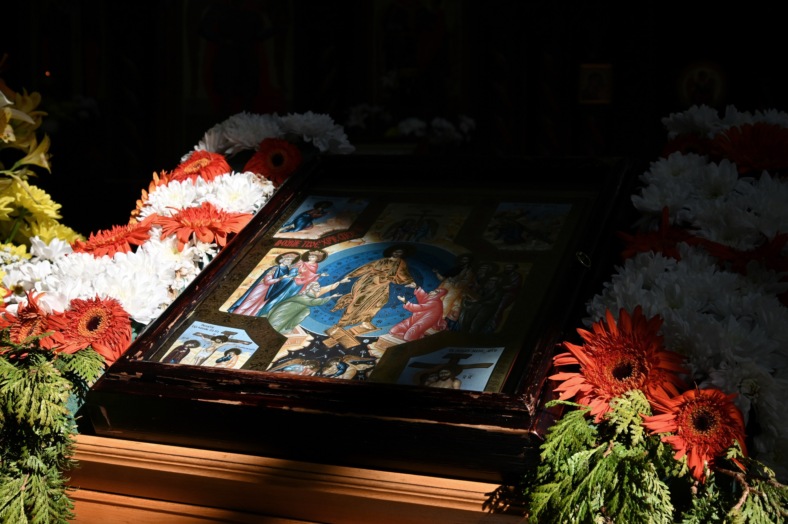 Репортаж. Дмитрий Старков — фотограф