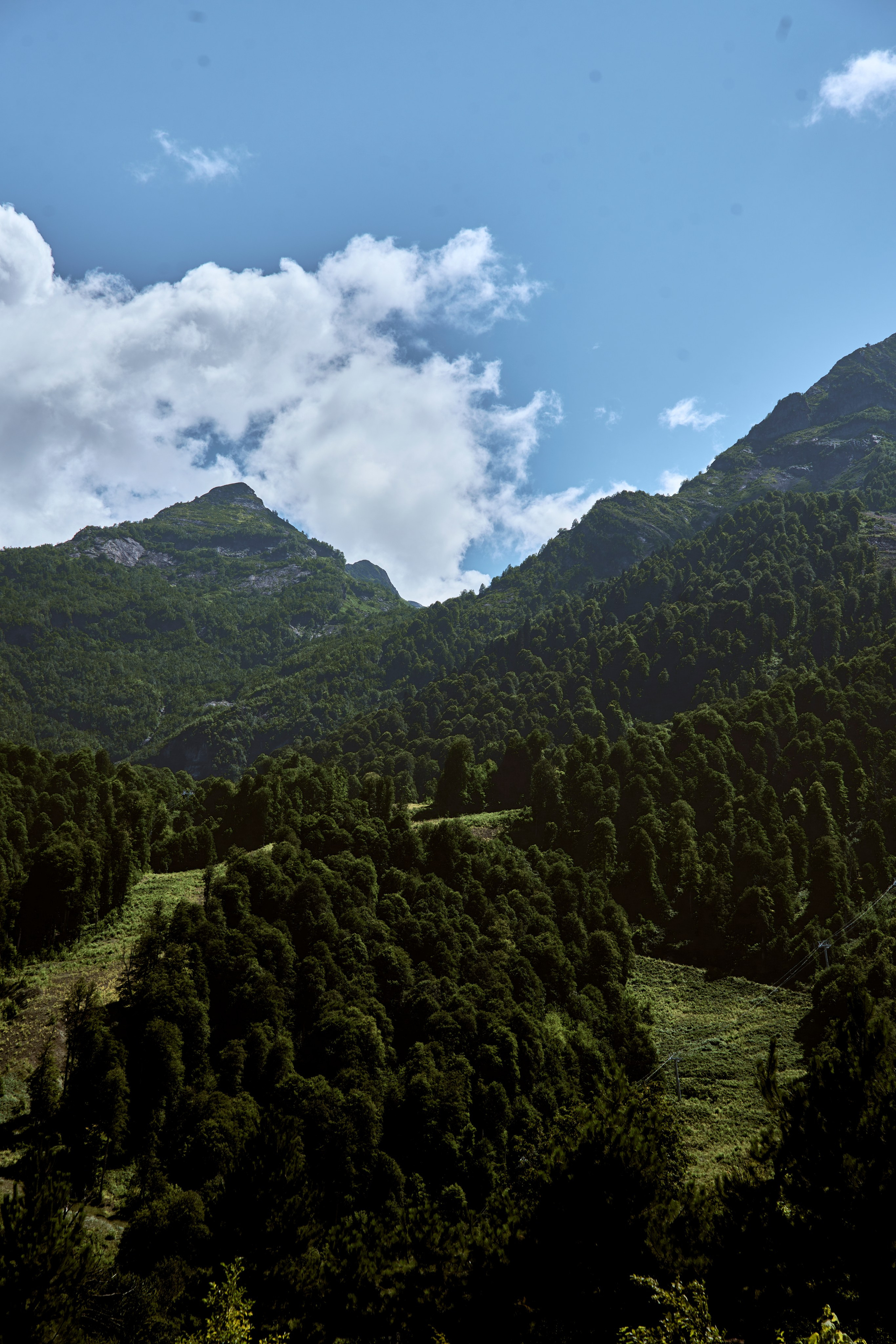 СОЧИ. Студийный фотограф в Екатеринбурге Бшари Заана