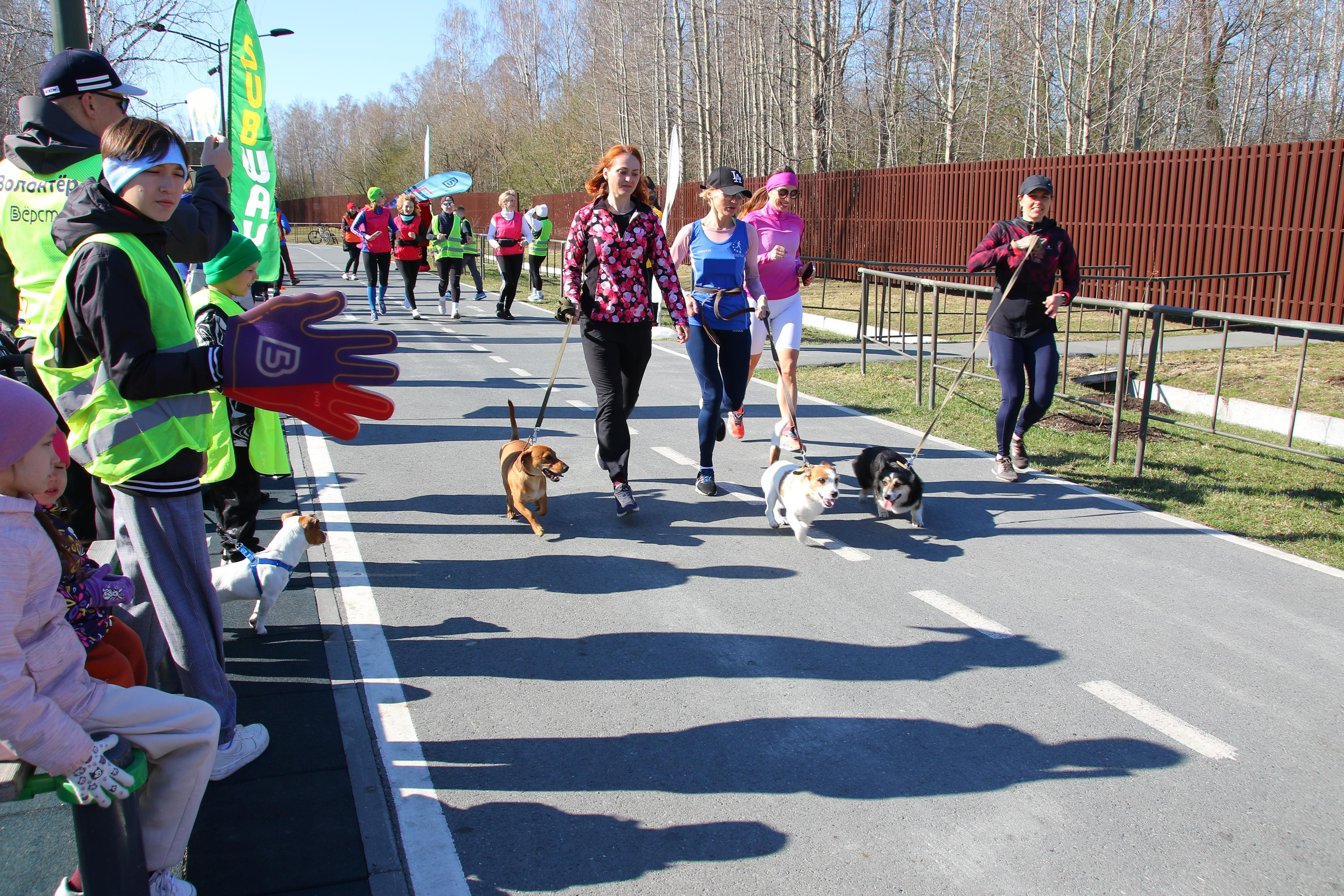 Спорт. Репортажный фотограф Анастасия Богданова из Тюмени