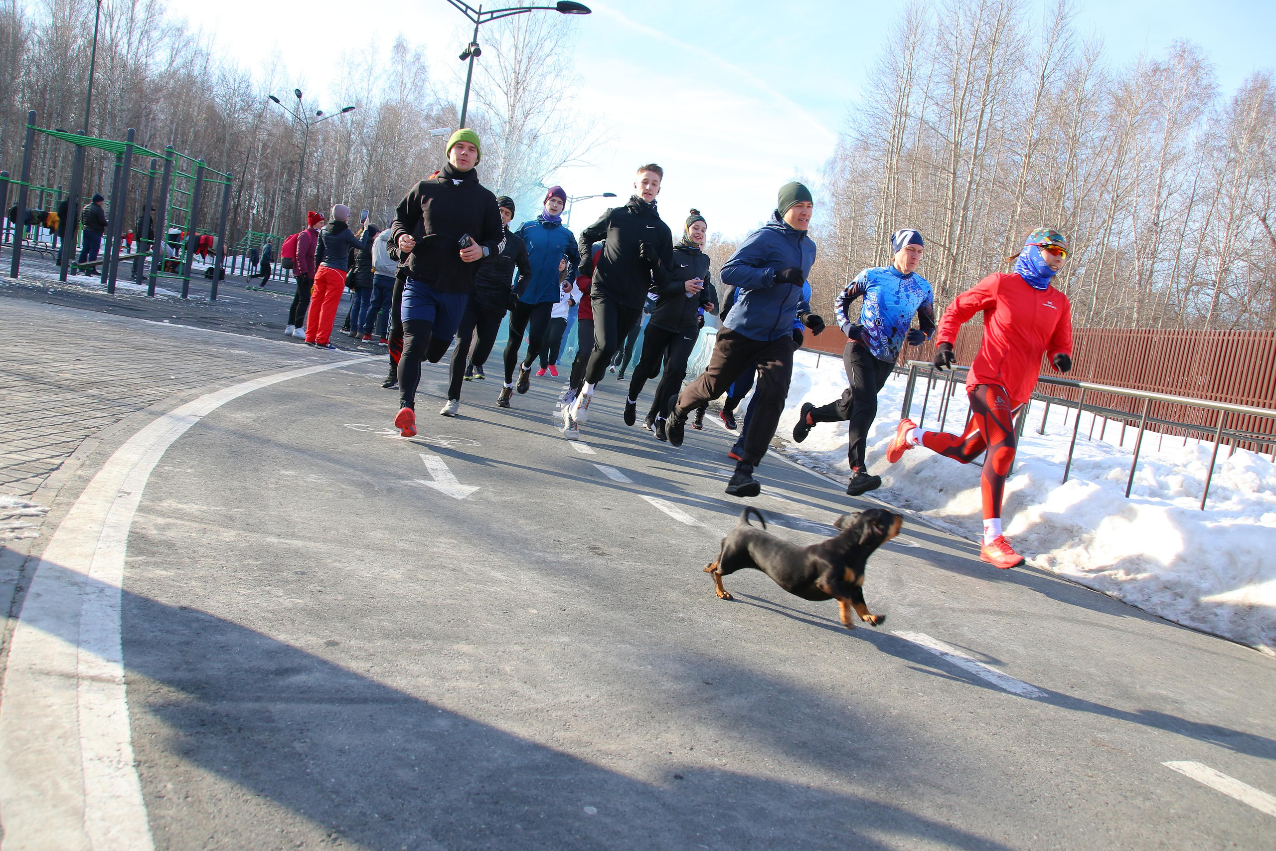 Спорт. Репортажный фотограф Анастасия Богданова из Тюмени