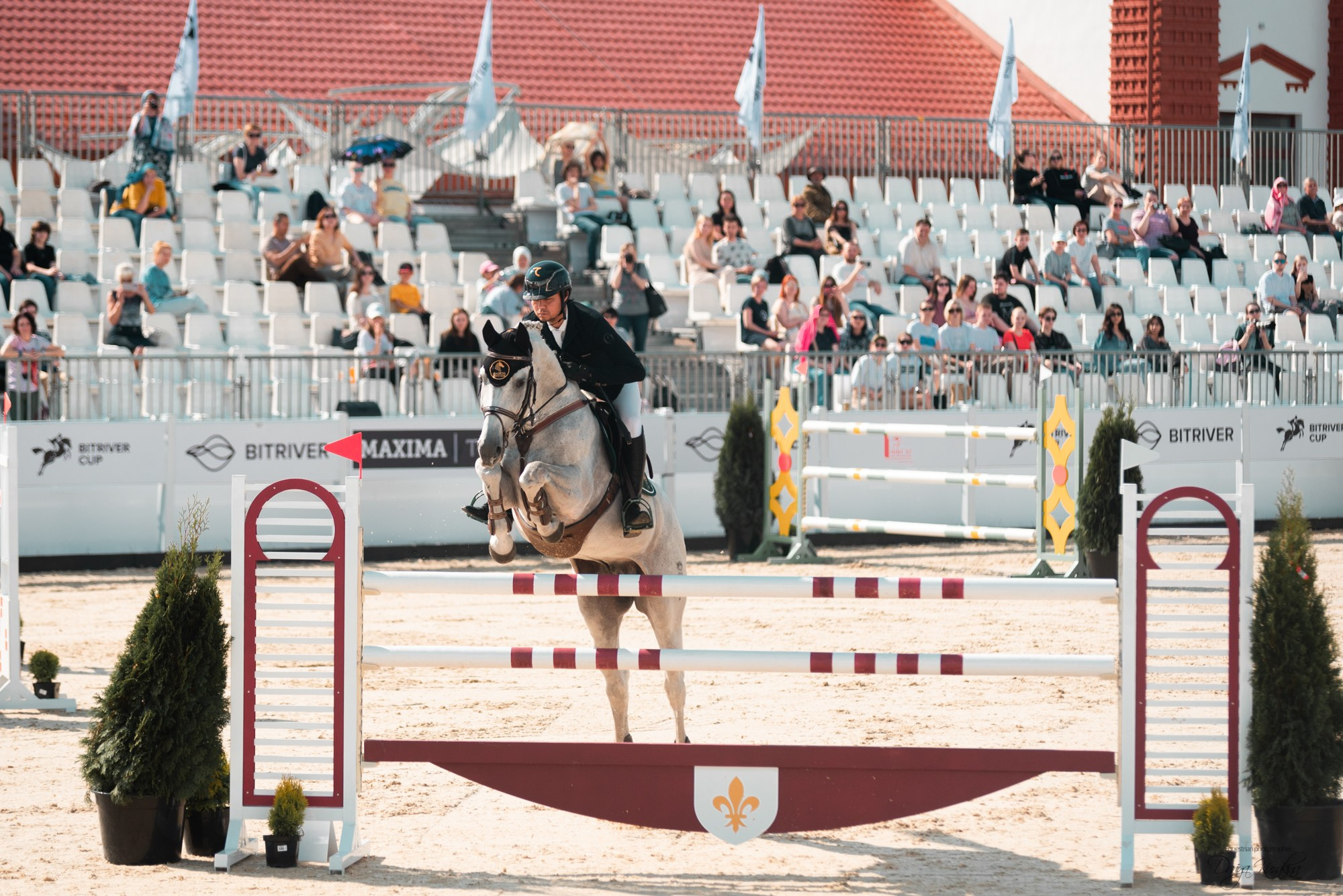 BITRIVER CUP 2023. Конный фотограф Куракина Дарья • Фотосессии с лошадьми