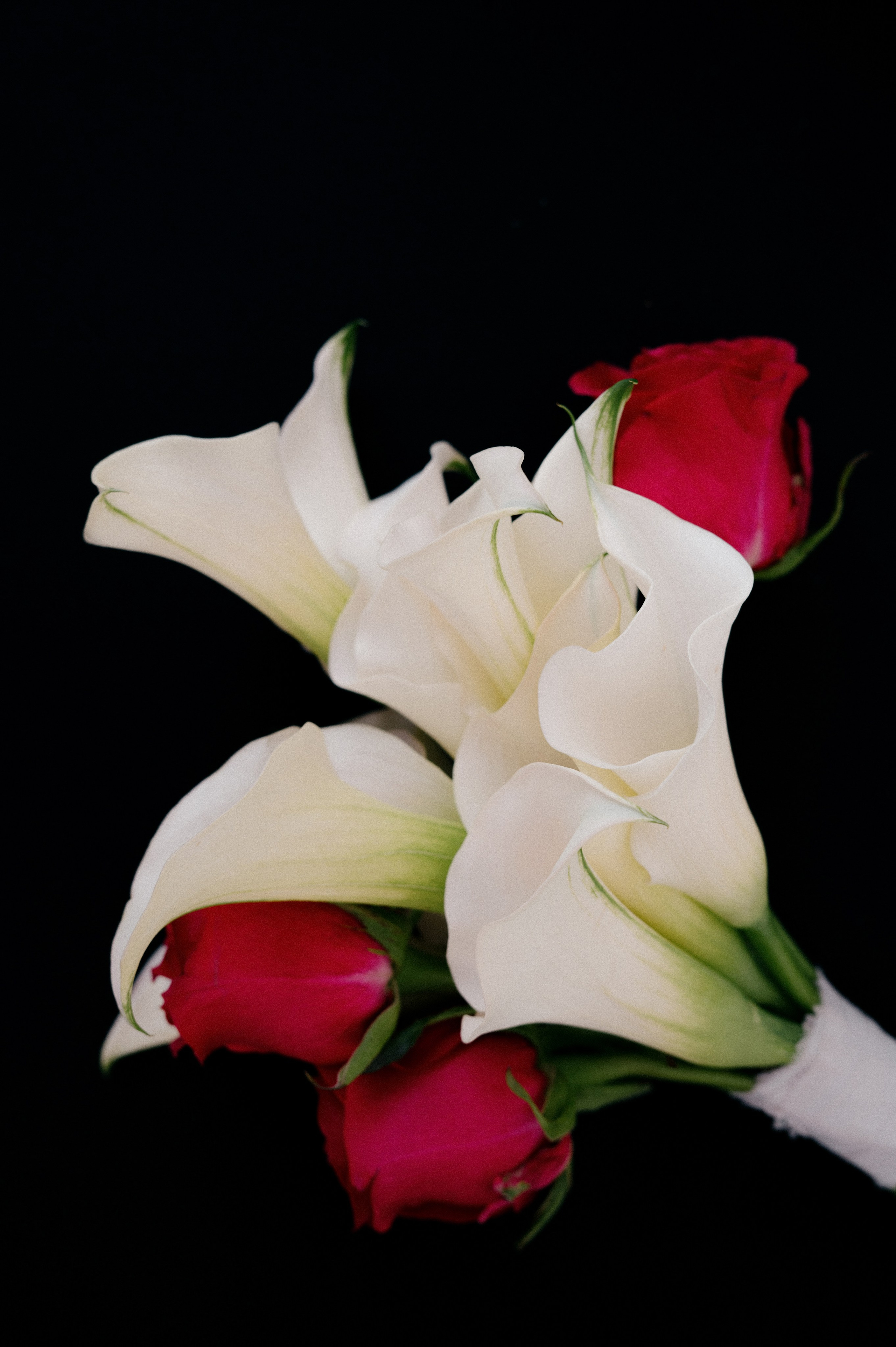 НАСТЯ И ЕГОР. Свадебный и семейный фотограф Никита Корохов