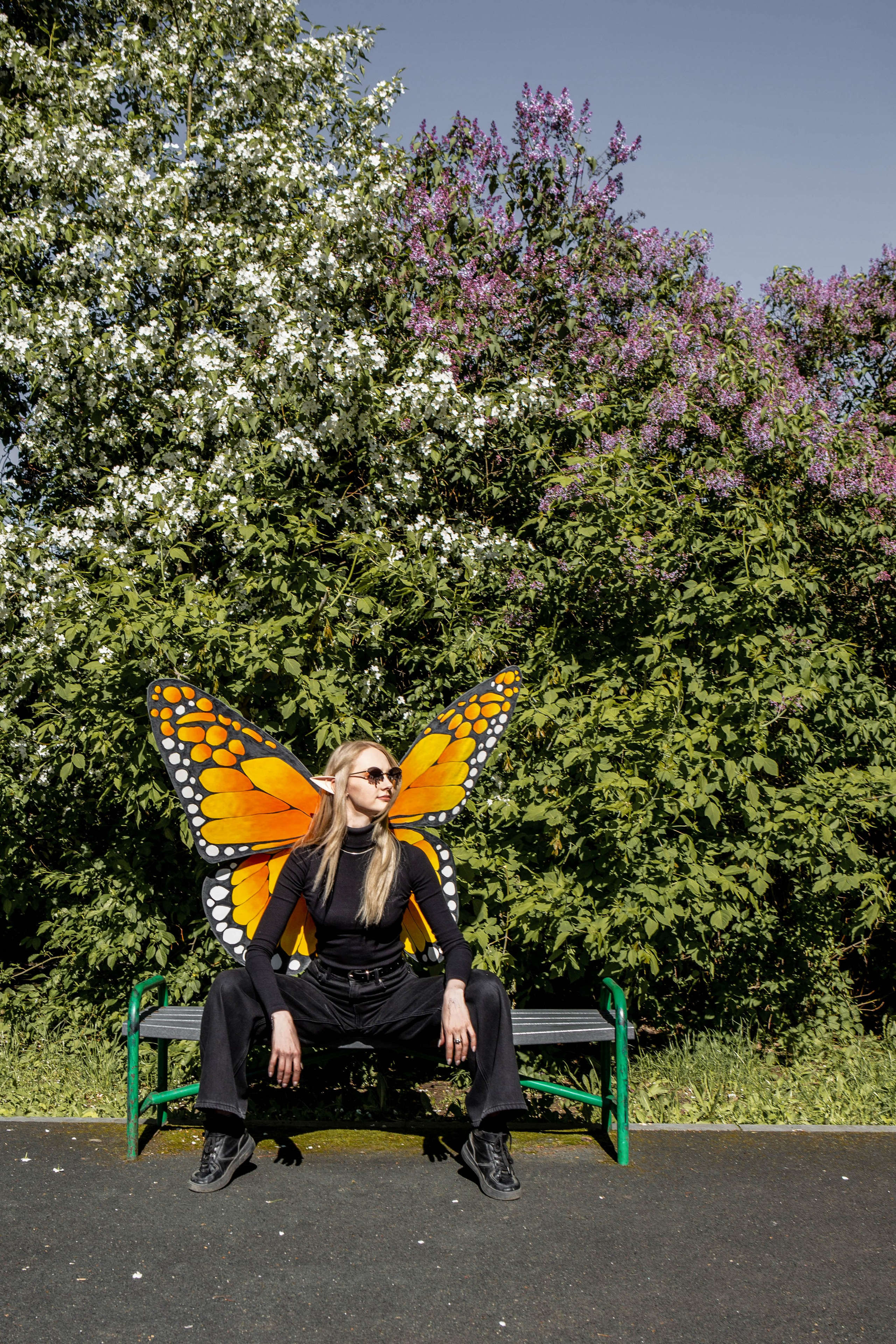 Бабочка. Фотограф Екатерина Голицына