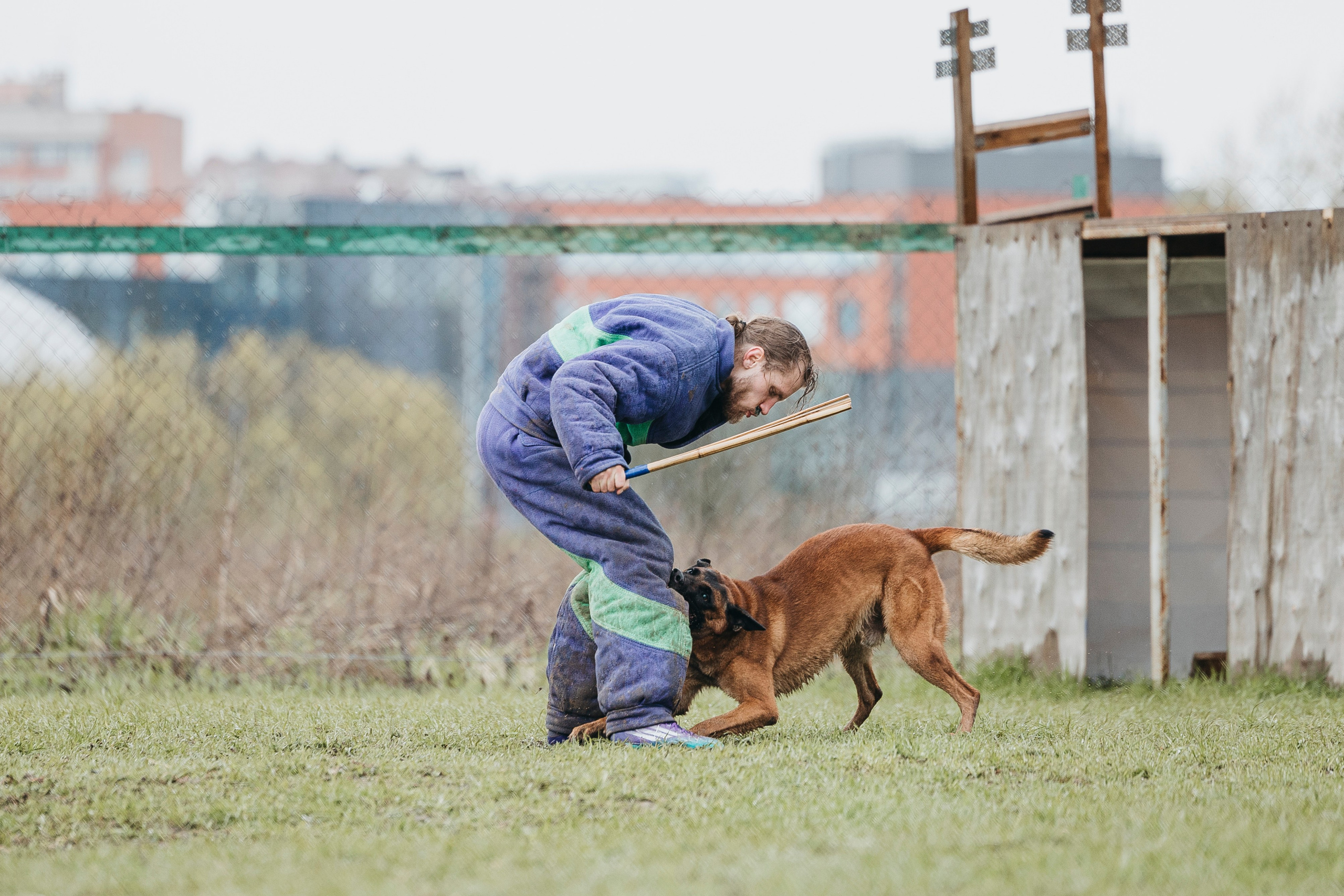09.05.25 Вологда соревнования. Фотограф-анималист Анна Маринич