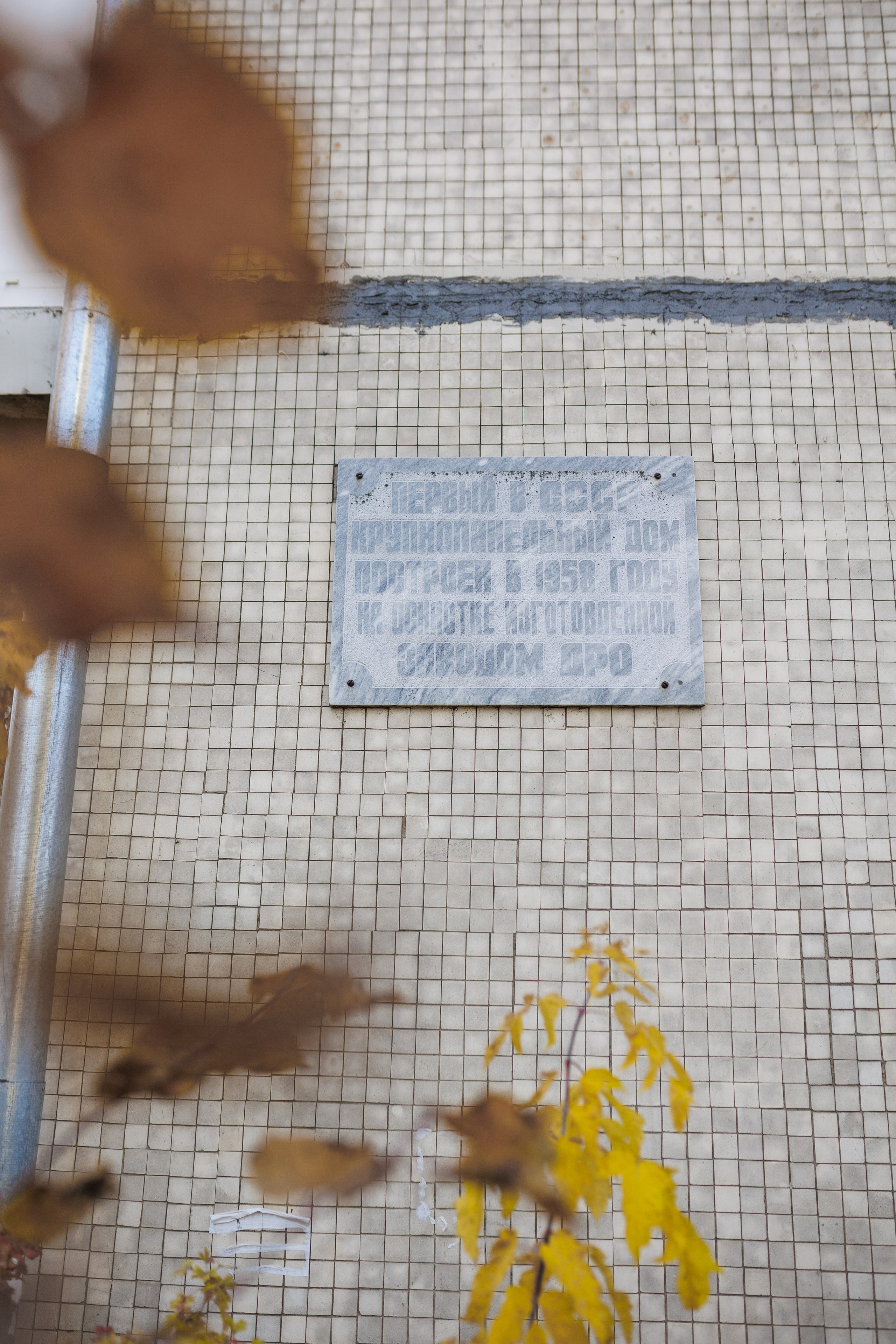 Счастливая жизнь в квадрате. Фотограф городских и семейных событий Артем Карпухин