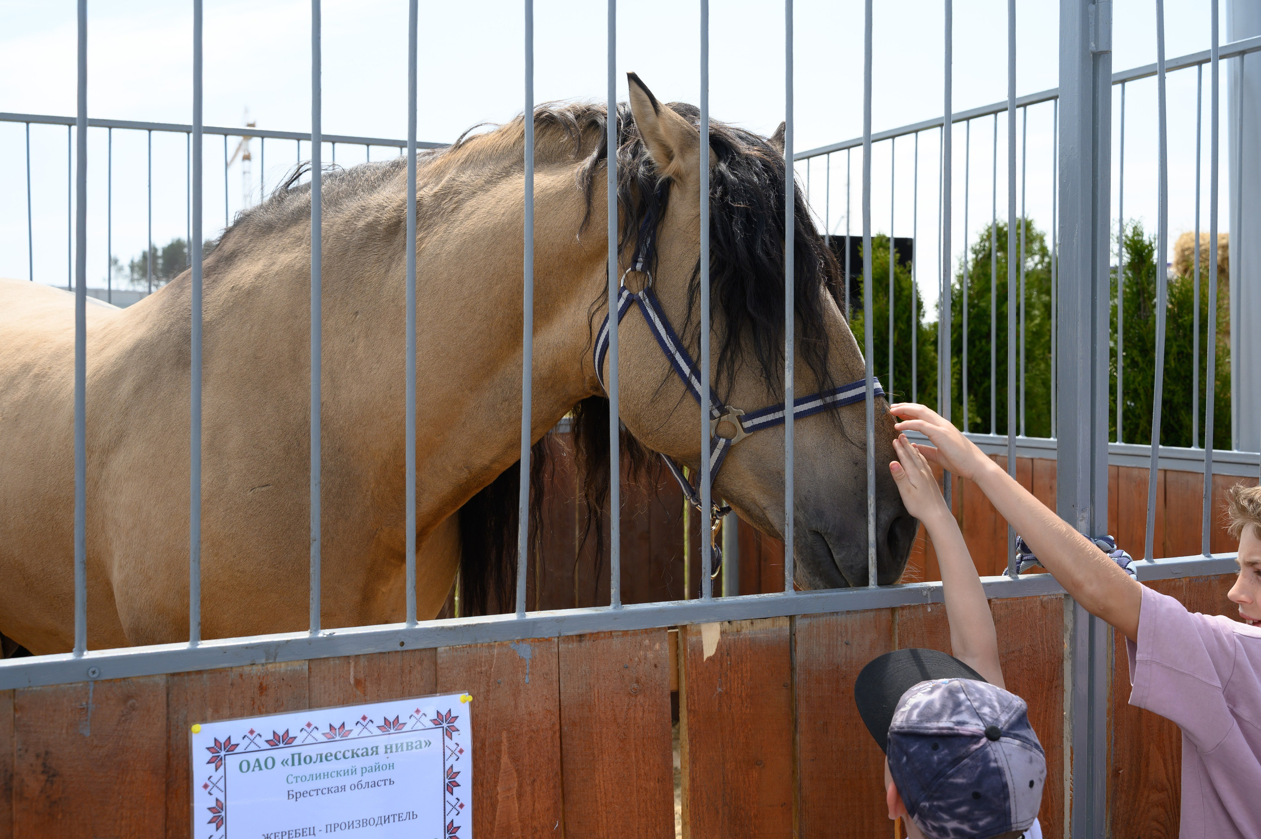 Агровыставка. Фотоуслуги, услуги фотографа, фотографирование важных событий