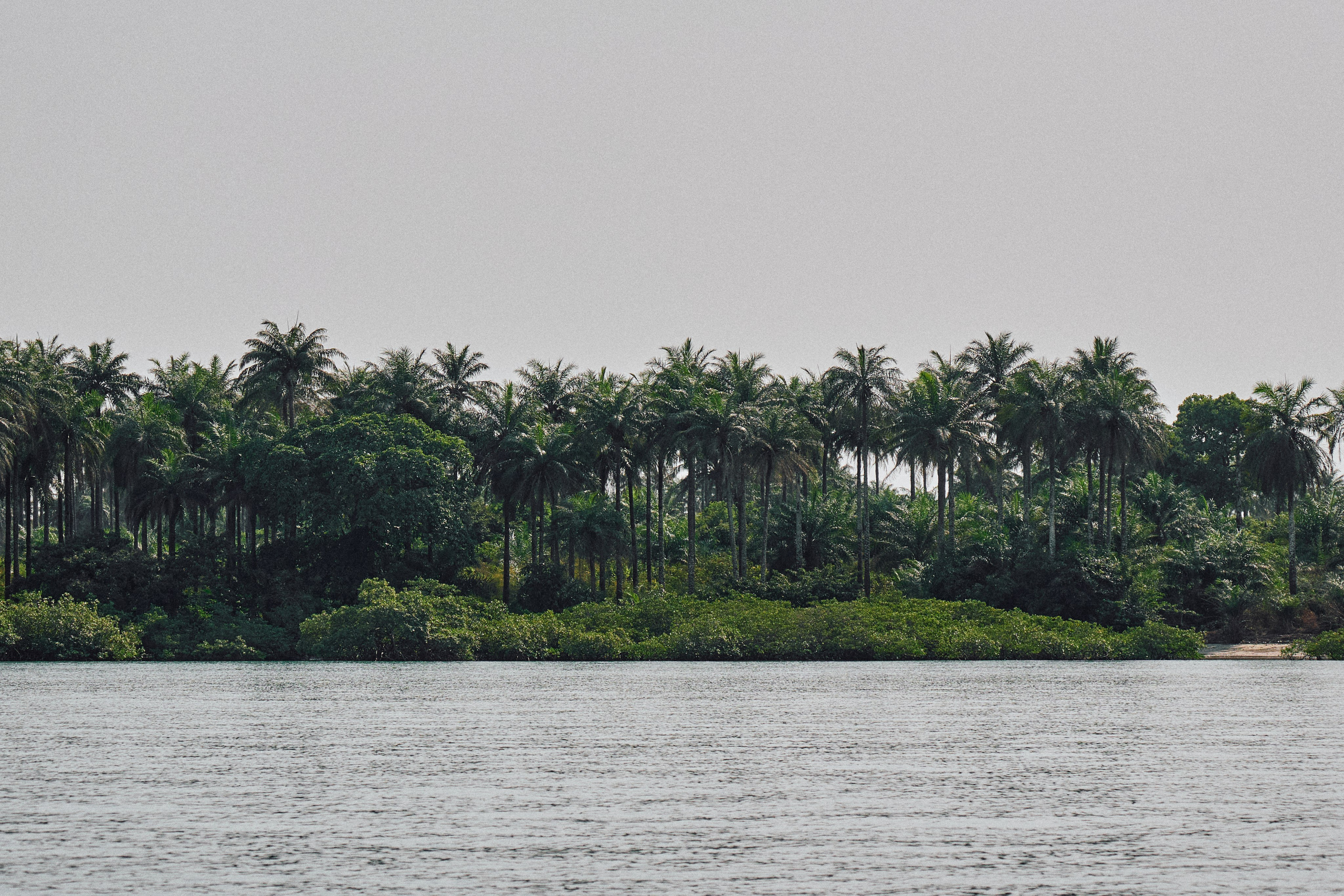 Guinea-Bissau. See the moment and catche. commercial and reportage
