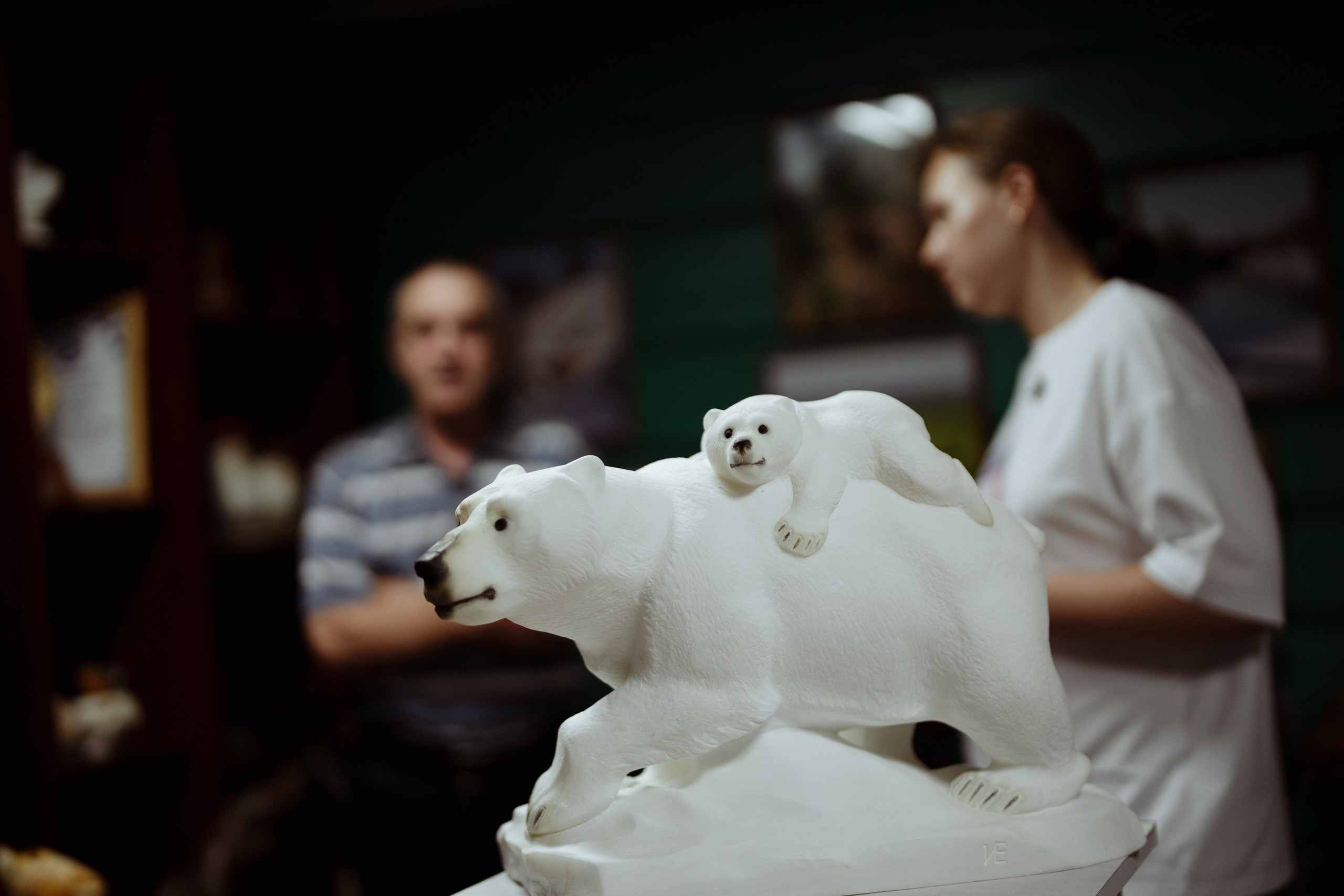 Сюжет № 10|Иван Викторович Евстифеев