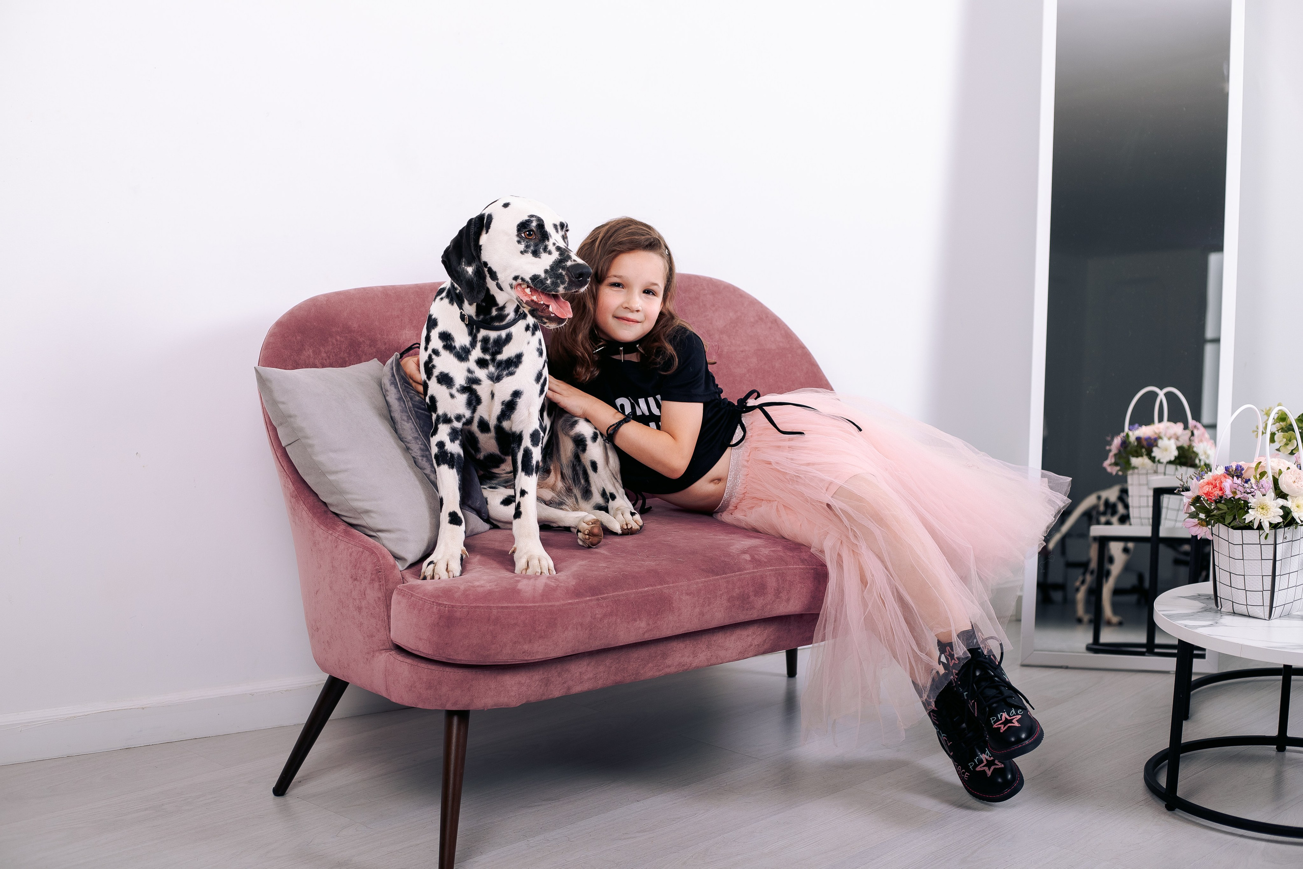 Фотосессия с далматинцами в фотостудии. Фотограф в Санкт-Петербурге, Анна Скворцова