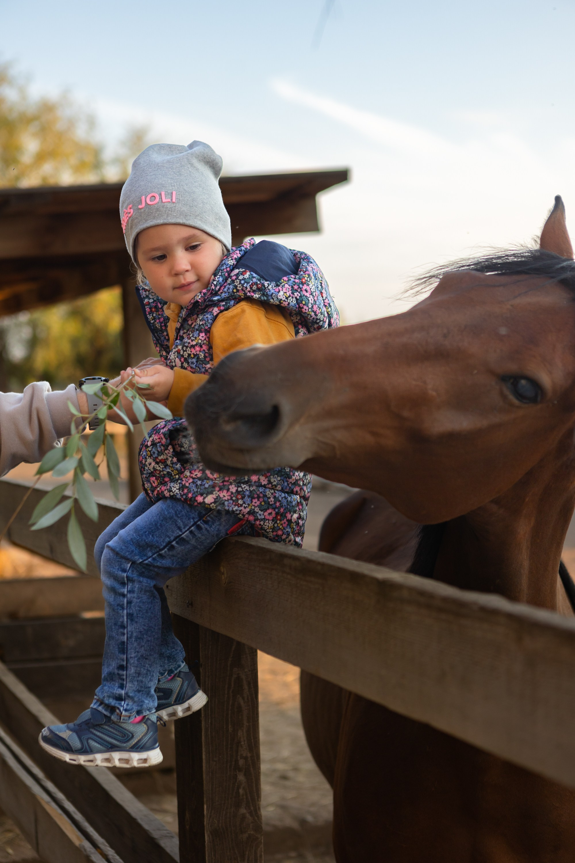 Фотосессия в конном клубе Воздух. Фотограф в Оренбурге. Профессиональный фотограф