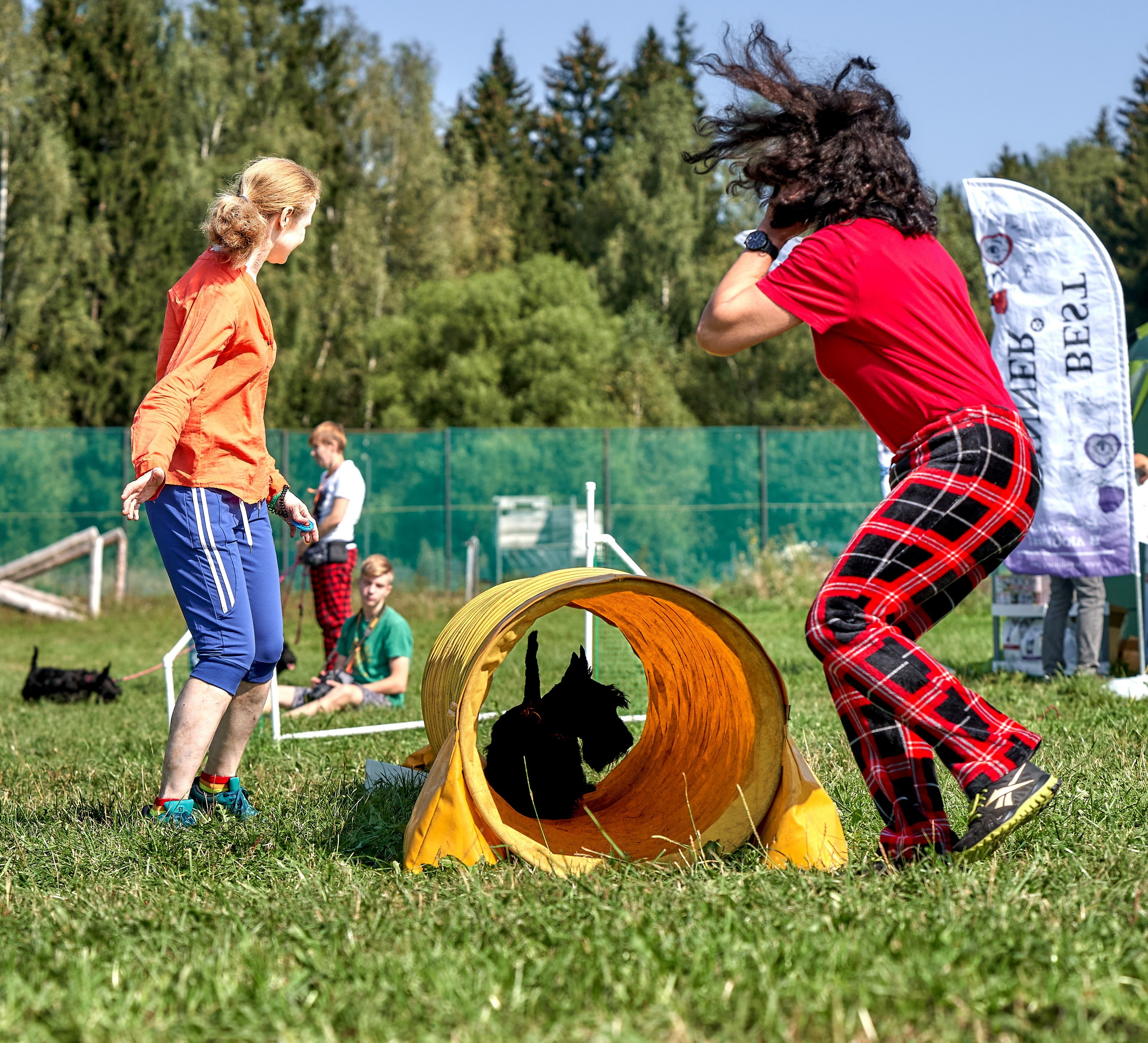 Мероприятия с собаками — галерея NATRIEL
