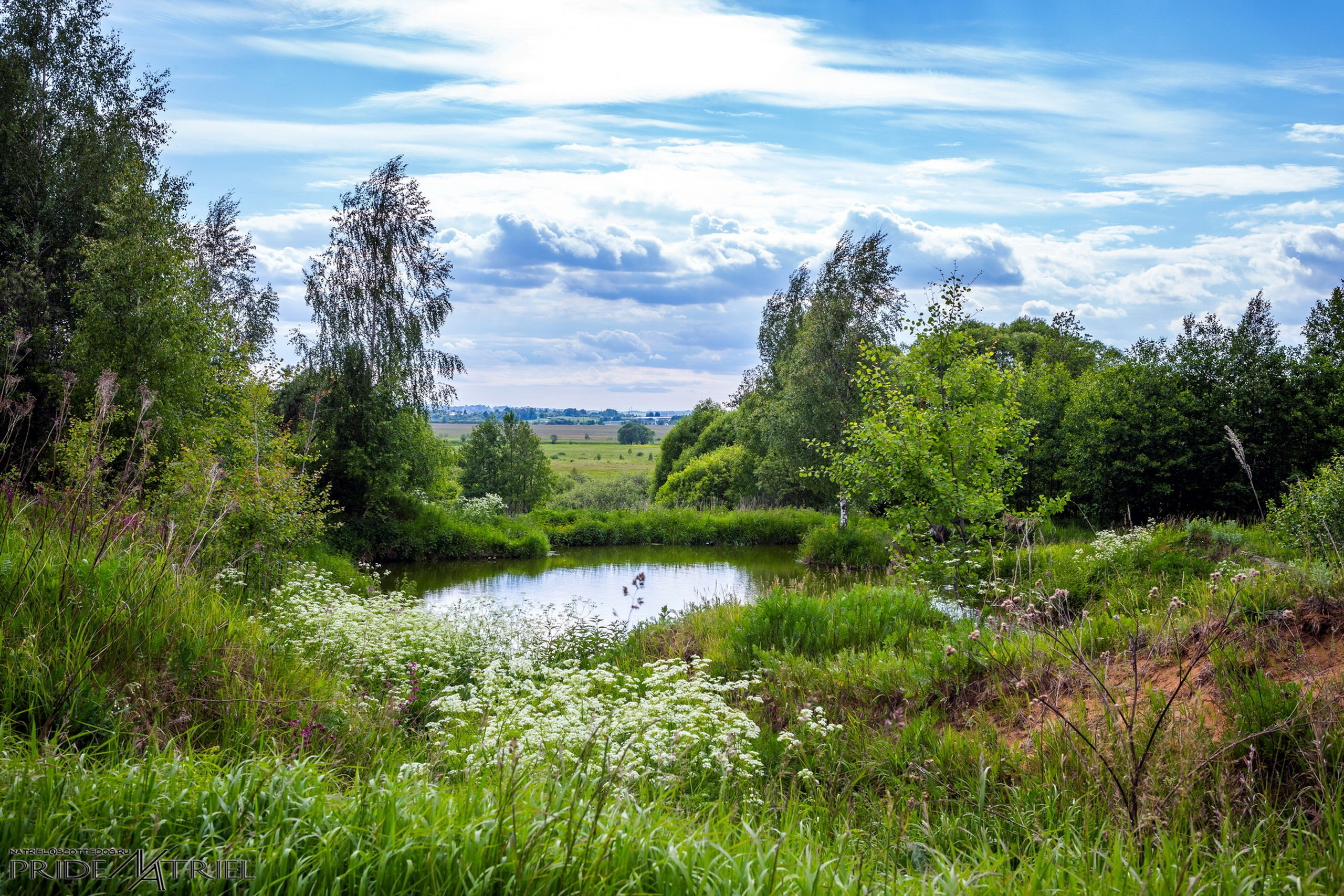 Пейзаж — галерея NATRIEL