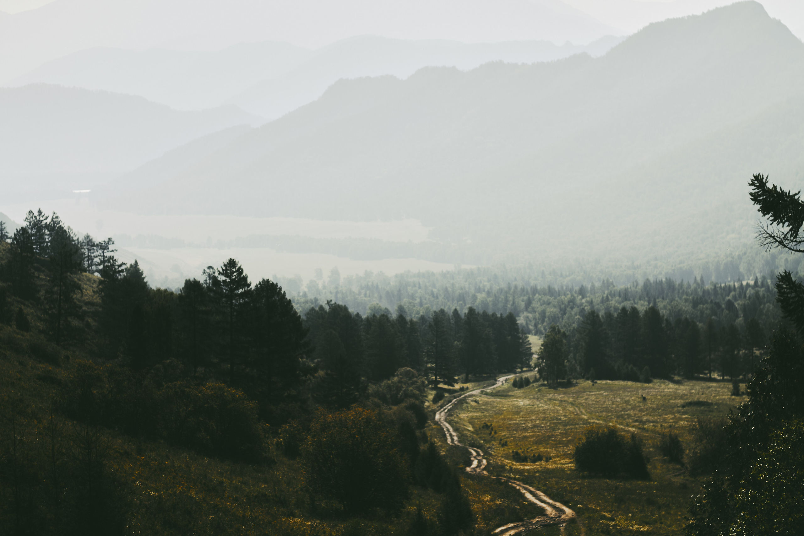 Алтай. Фотограф Александр Рауш