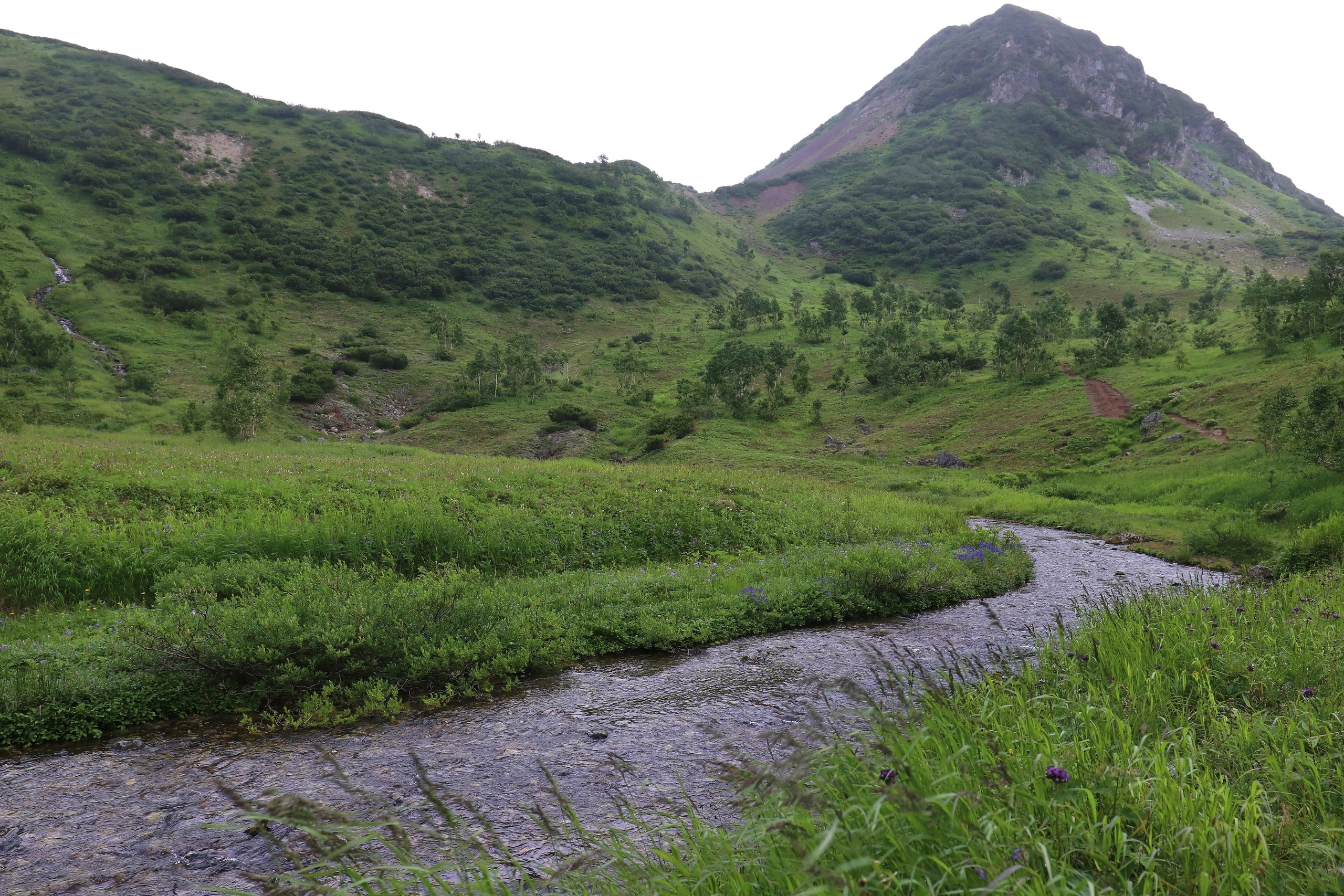 Камчатка и о. Парамушир. Июль 2024. Путешественник-фотограф из Санкт-Петербурга Татьяна Свистулина